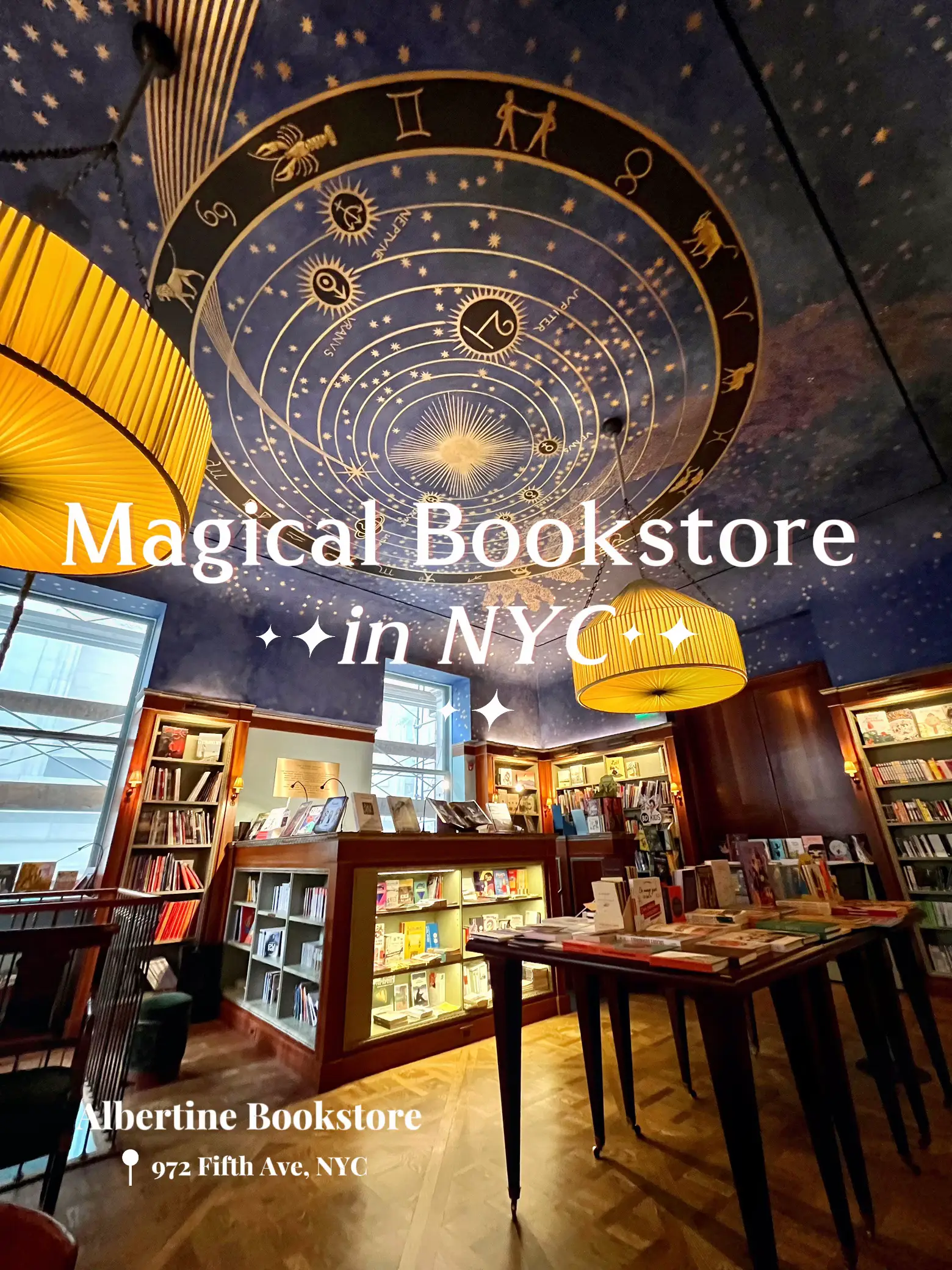  A bookstore with a large bookshelf and a sign that says "Magical Bookstore in NYC".