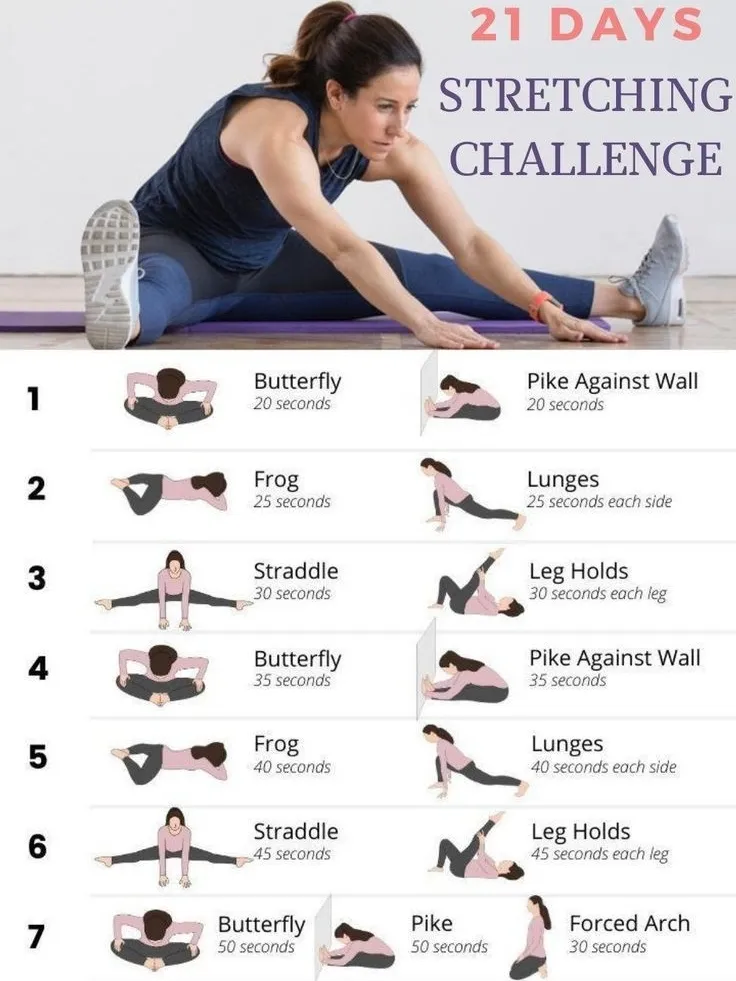 20 top stretching exercises for seniors ideas in 2024