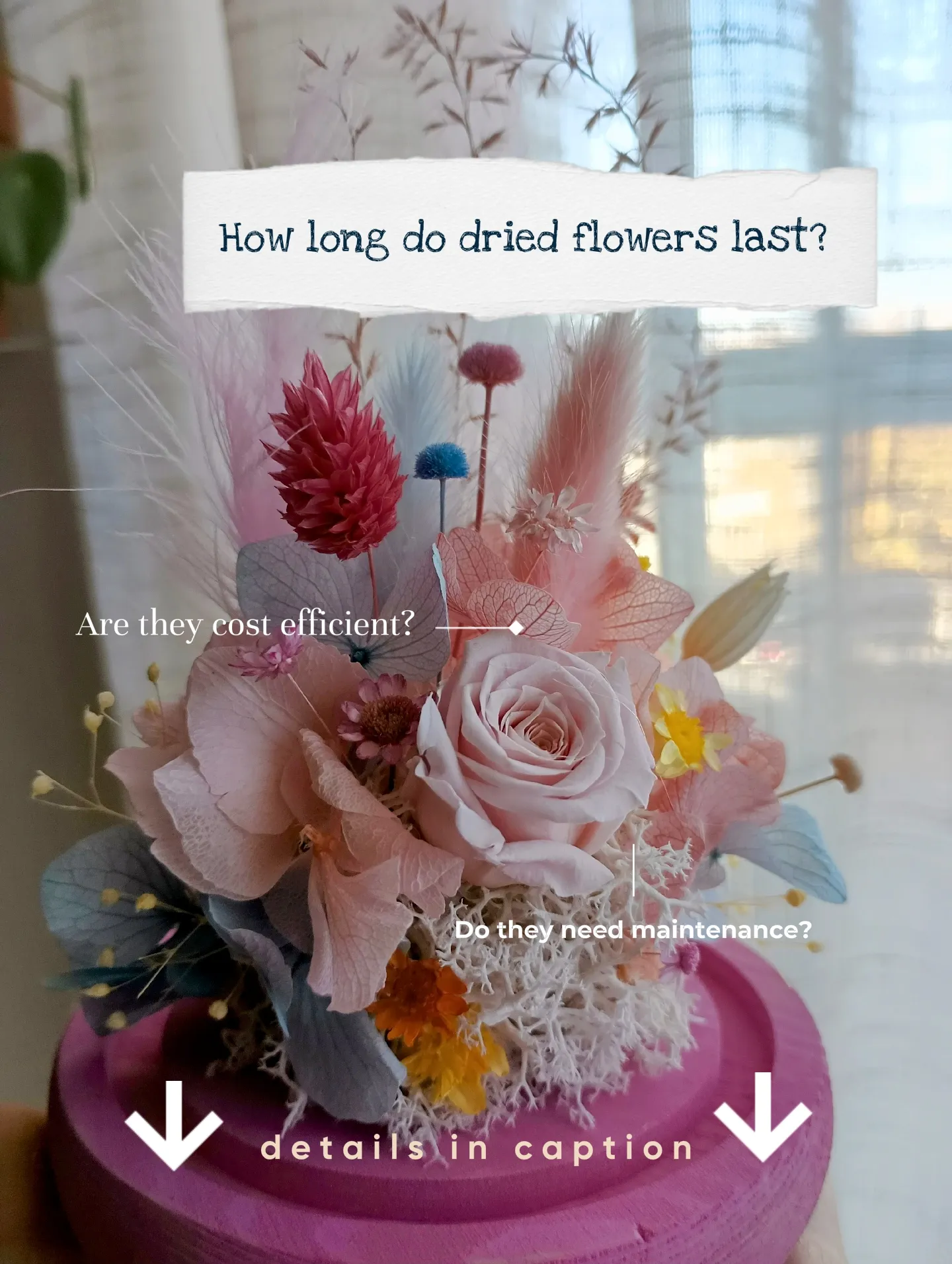How long do dried flowers last? Gallery posted by cupofleurs Lemon8