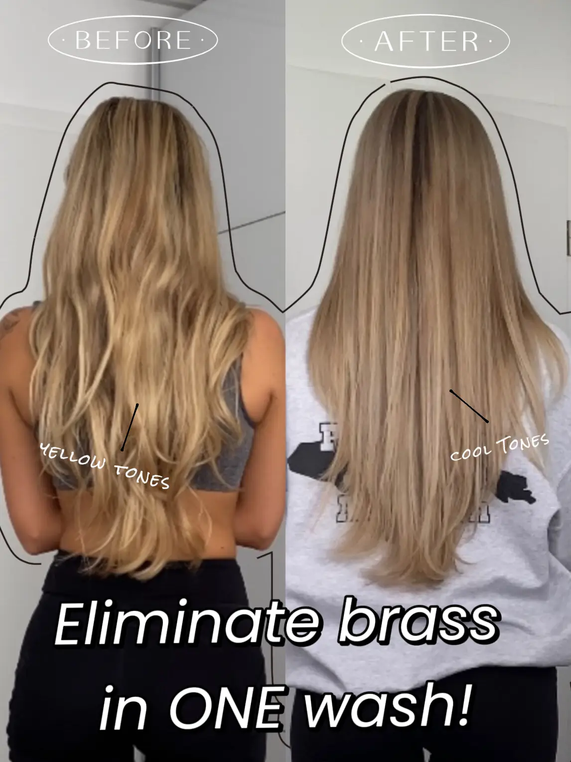 ELIMINATE BRASSY HAIR 🤍, Gallery posted by brianabappert