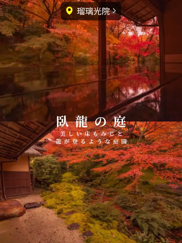 京都秋の絶景🍁】瑠璃光院/圓光寺/詩仙堂 憧れの風景がそこに…撮影方法 ...