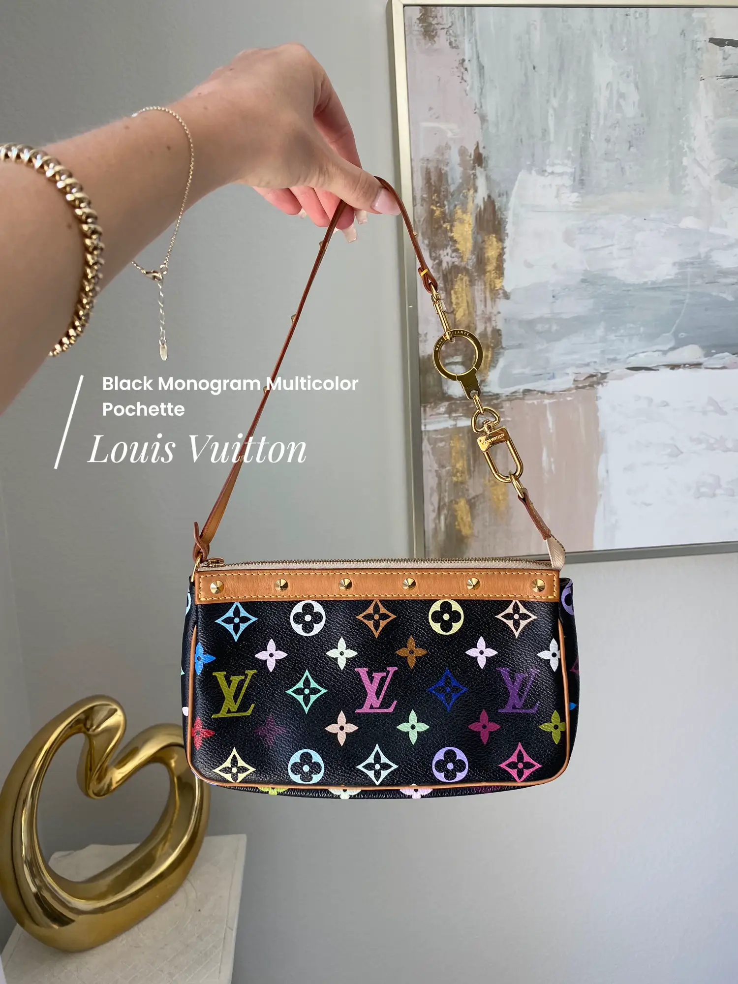 Louis Vuitton Black Multicolor Monogram Canvas Pochette Accessories Louis  Vuitton