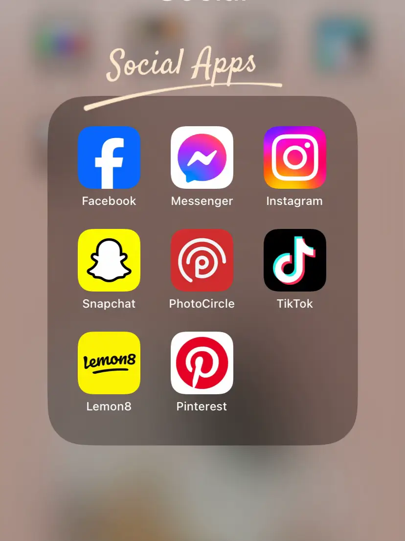 App Permissions for Instagram - Lemon8 Search