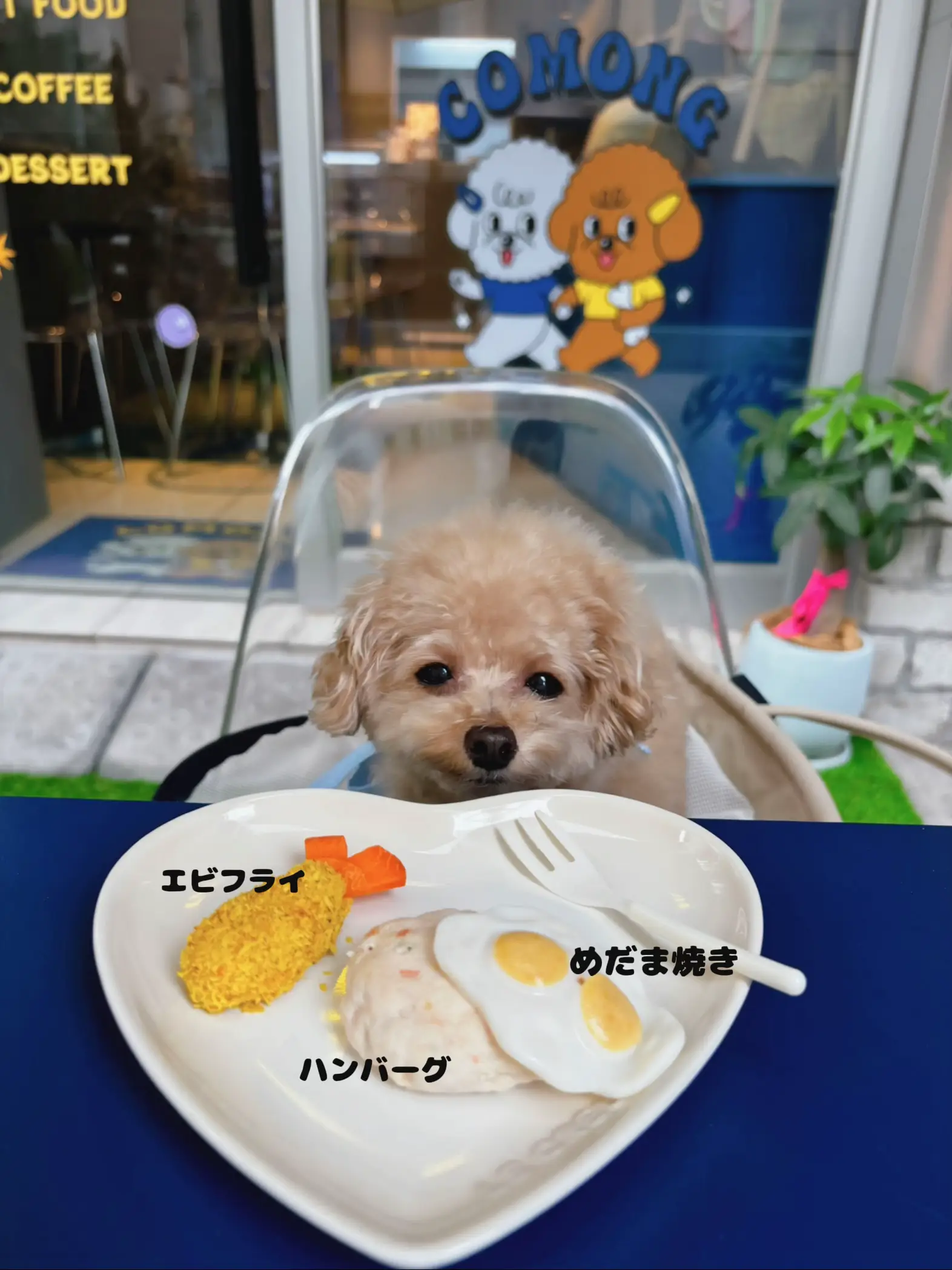 ❤多機能❣無添加のドライフードが簡単手軽に作れちゃう♪❤ドライフードメーカー ❤多機能❣無添加のドライフードが簡単手軽に作れちゃう♪❤