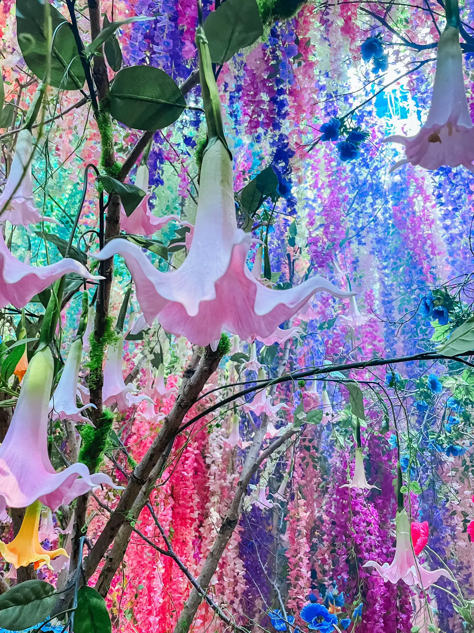 蜷川実花展行ってきた！✌️ | さんぽ。が投稿したフォトブック