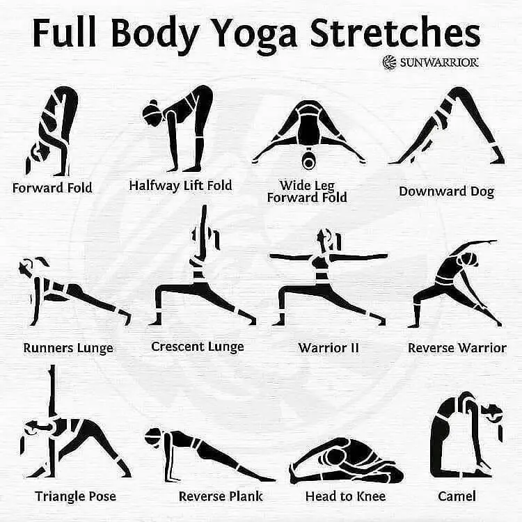 Full Body Yoga for Strength & Flexibility