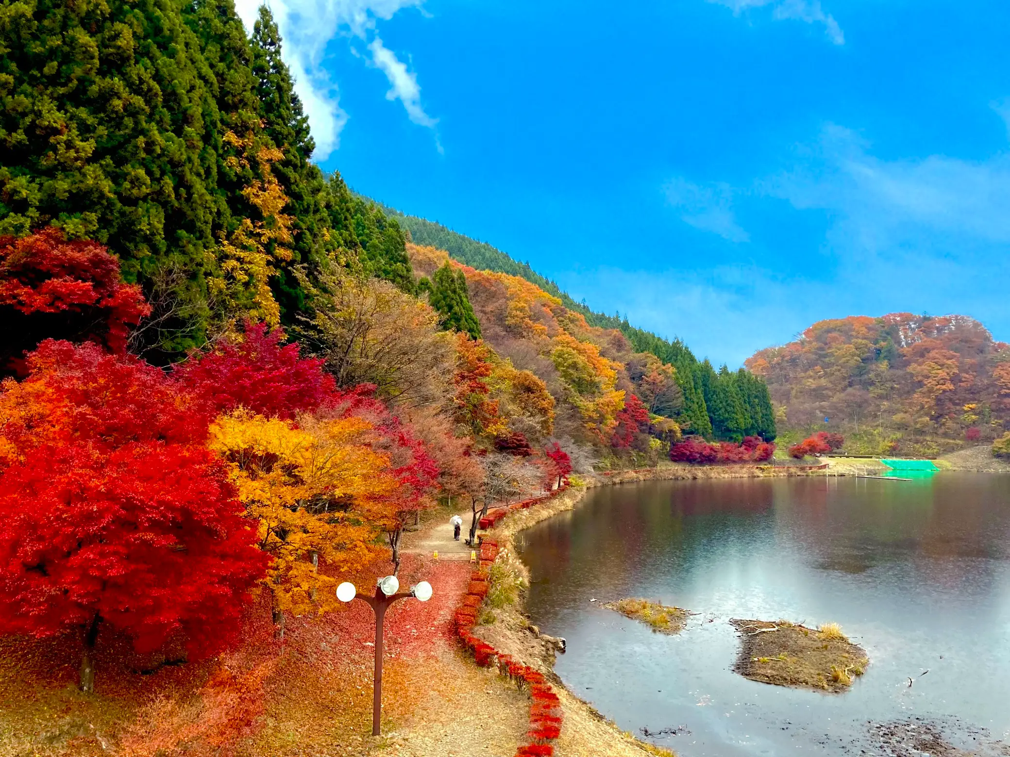 F10号です。碓氷峠で発見した、紅葉。特注額です。 F10号です。碓氷峠で発見した、紅葉。特注額です。 （旧碓氷峠