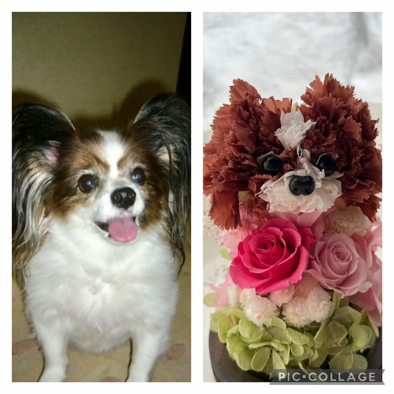 ドライフラワー入りじゃれねこちゃんとひまわりチャーム