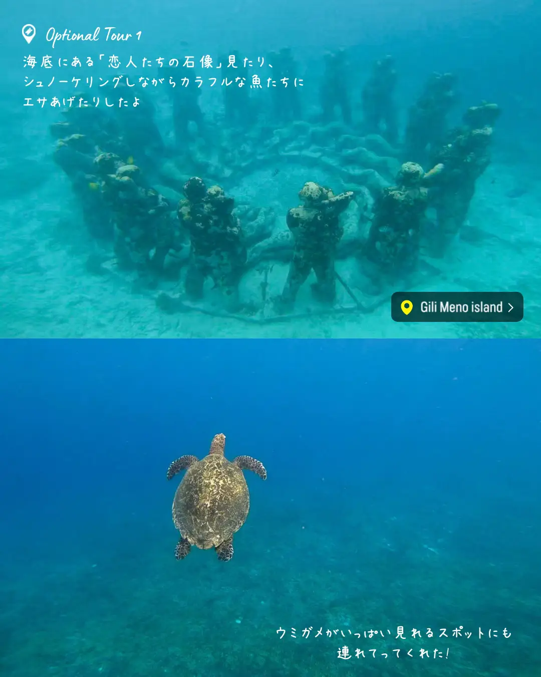 バリ島絵画カラフルな魚