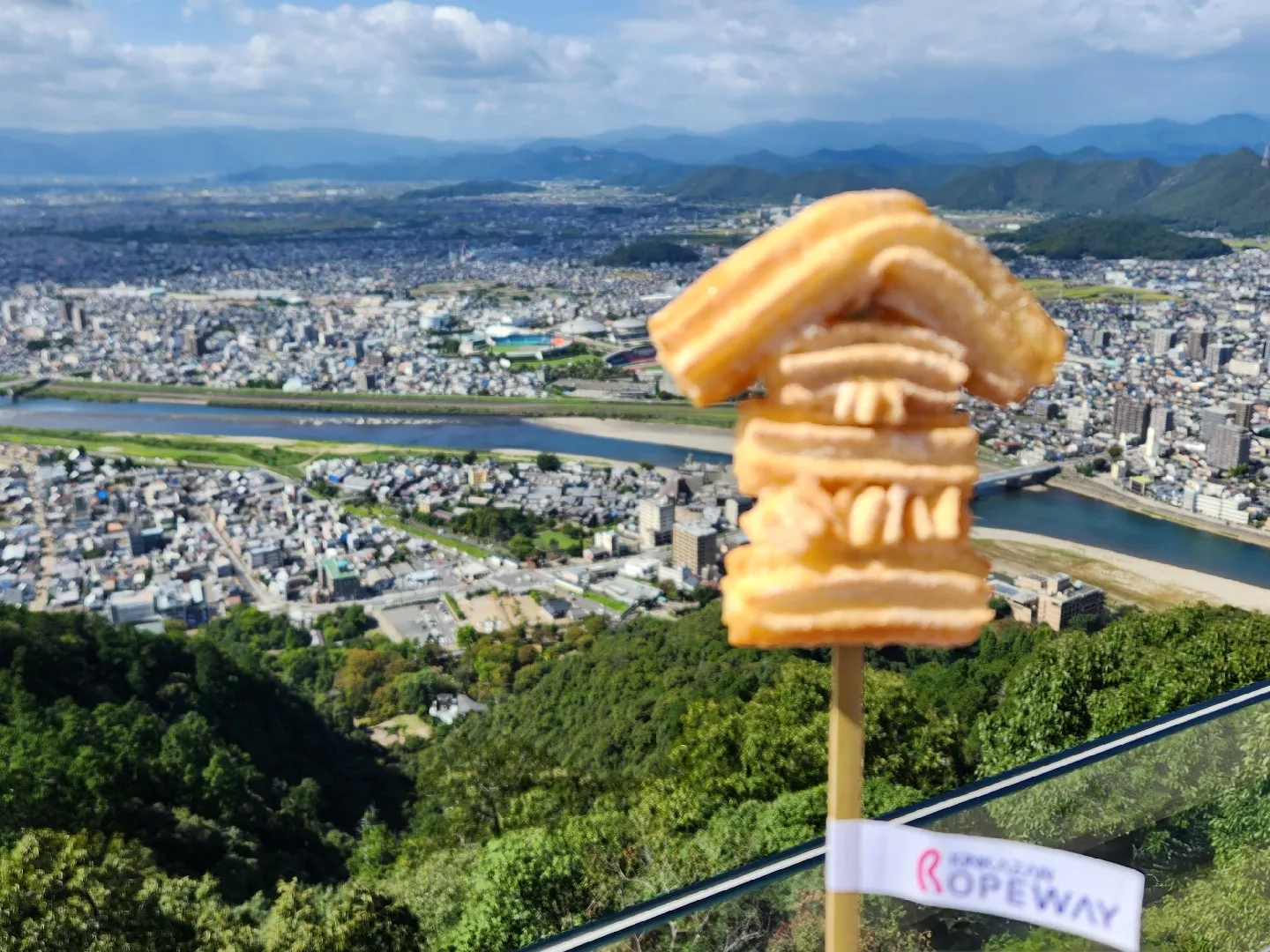 岐阜城からの風様♡ご確認ページ】 おそう