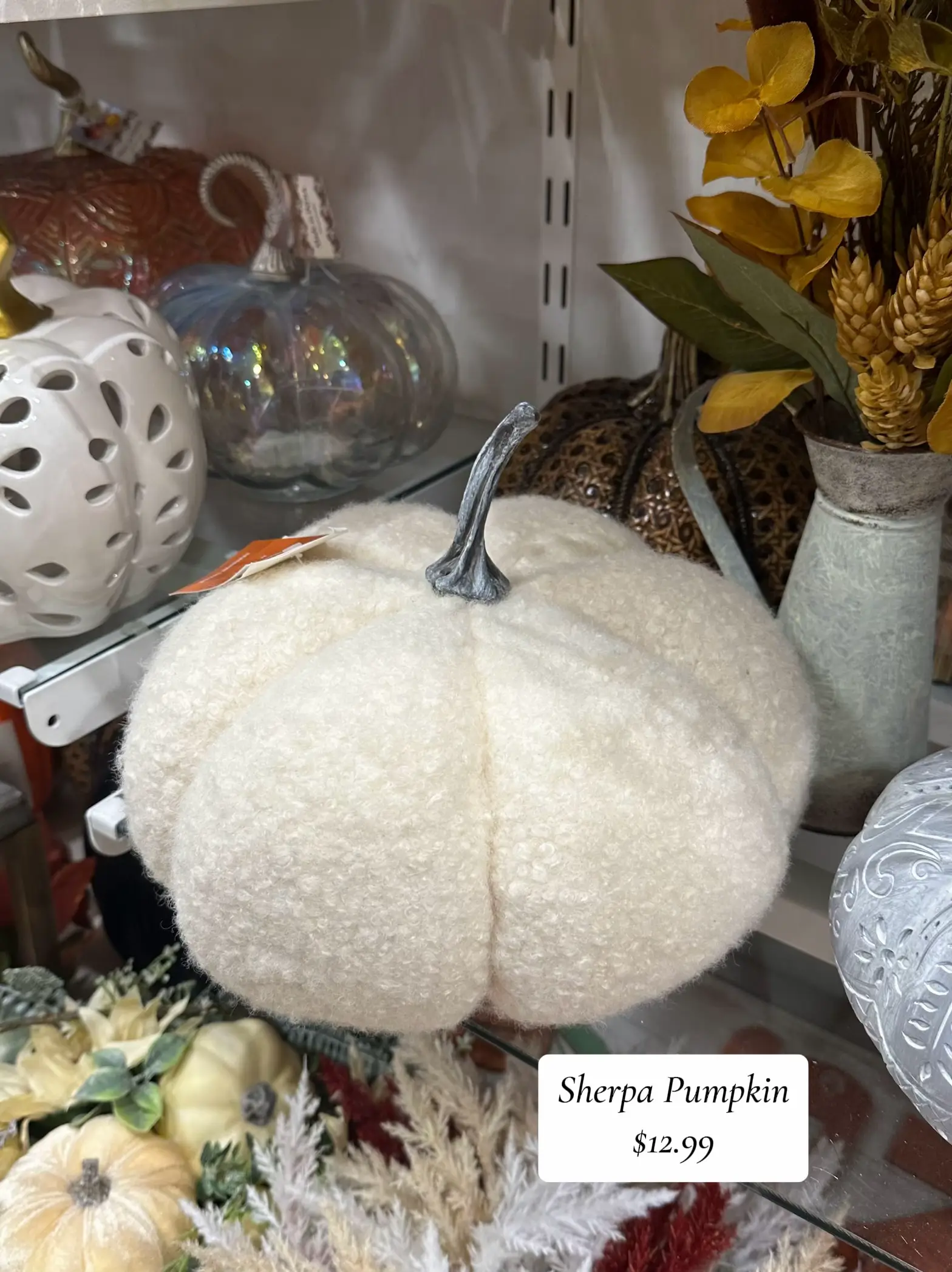Pumpkin Vase Filler - Temu