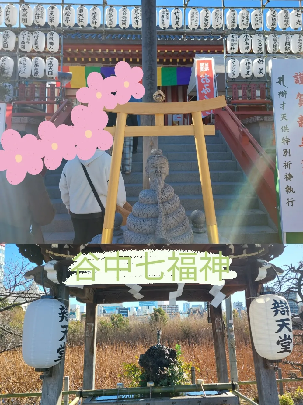 2025.2.7白玉磐龍 2025.2.7白玉磐龍