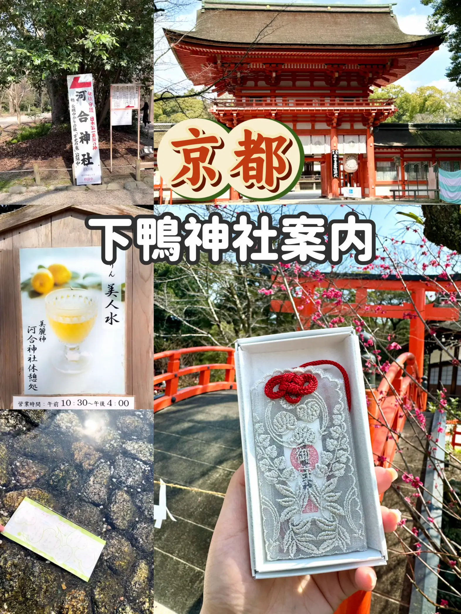 今年授与】京都上賀茂神社（加茂別雷神社） あふひ香守♡ - その他