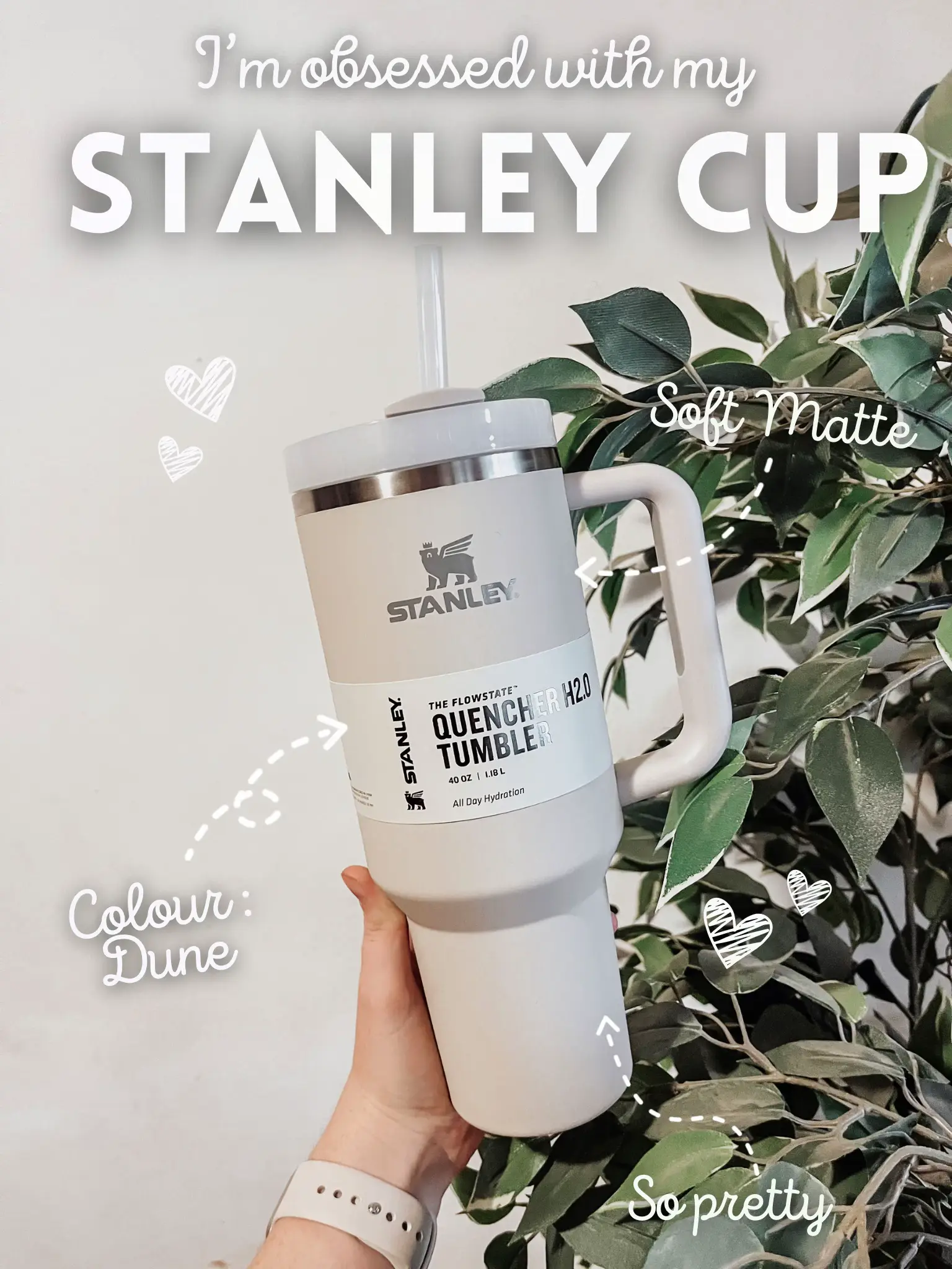 My new Stanley cup 🤍, Gallery posted by Elizabeth Long