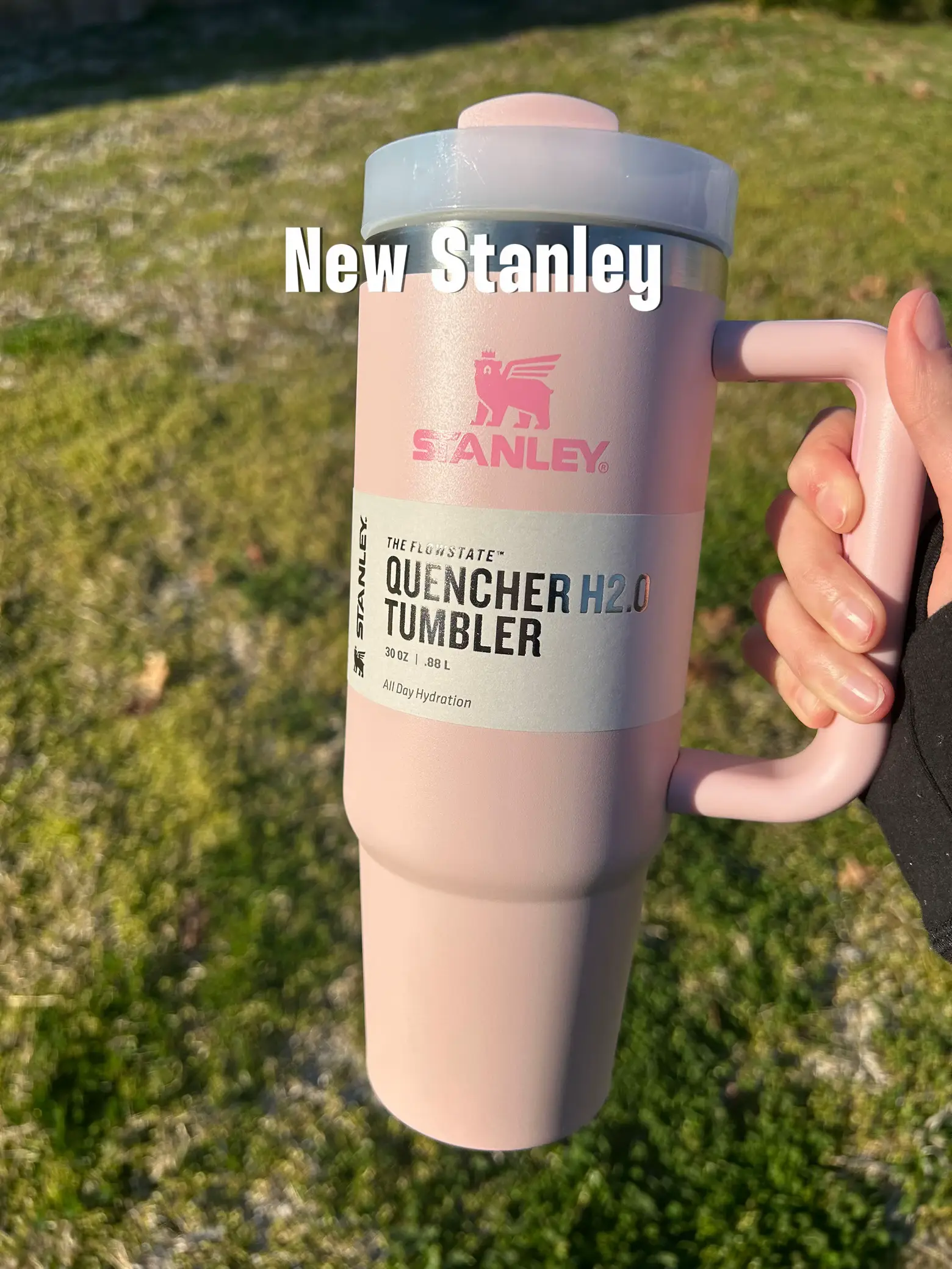 🌸 Stanley SIZZLING PINK 30 oz Quencher H2.0 Tumbler Target Exclusive Cup 🌸