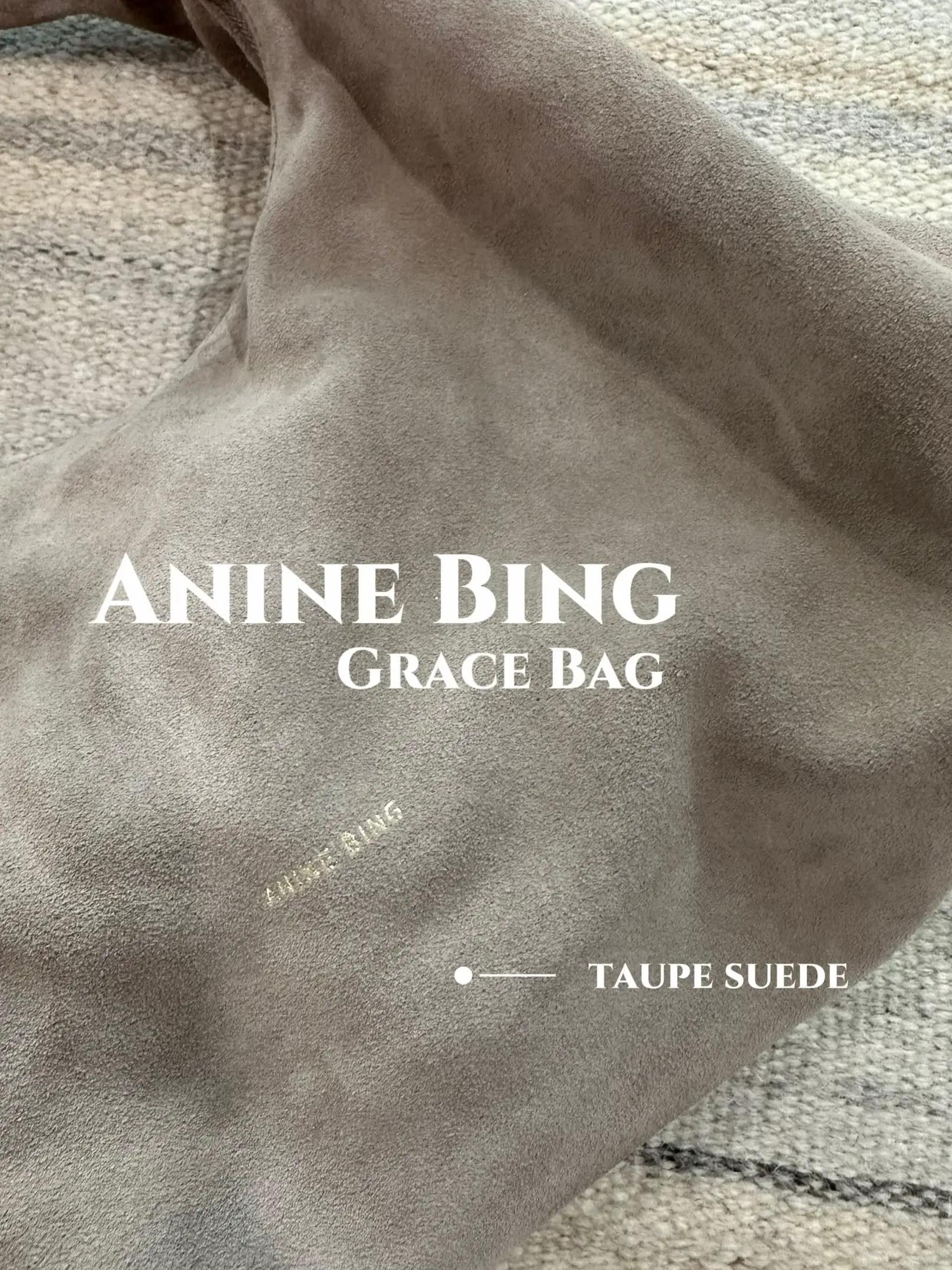 Anine Bing Grace Suede Bag - Taupe
