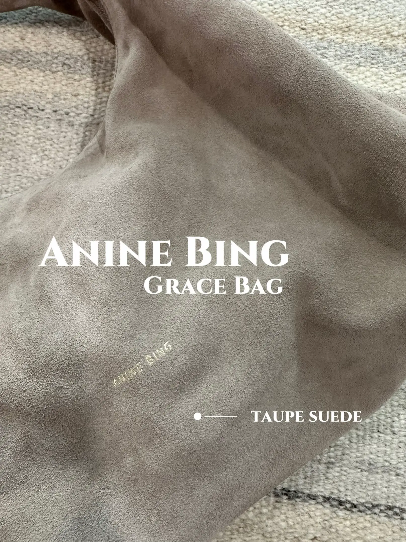 ANINE BING GRACE BAG