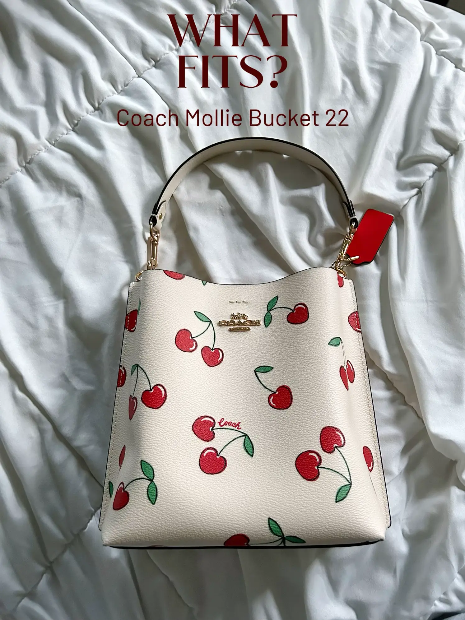 Coach Handbags, Heart, Bucket & Mini Bag