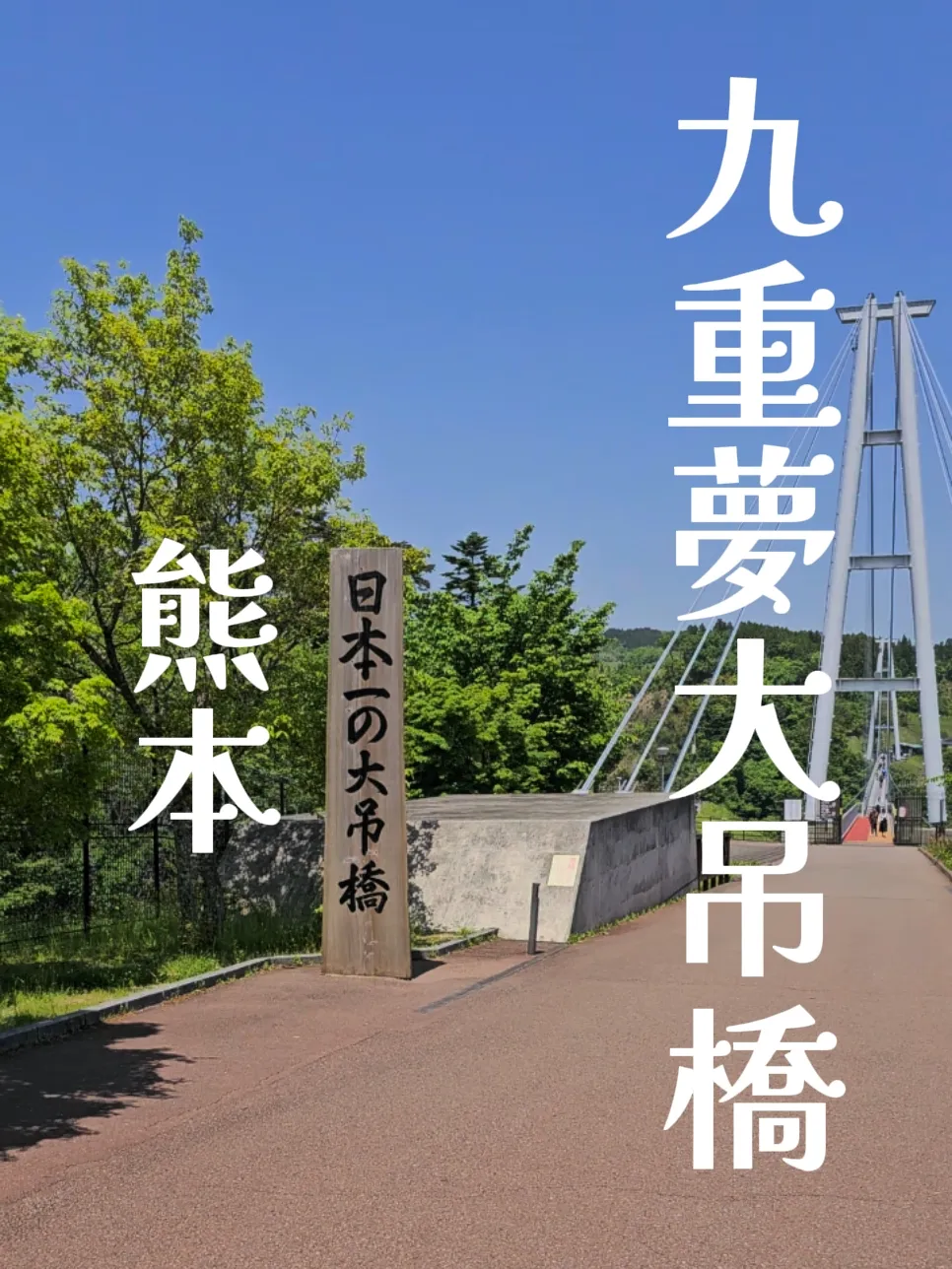 📸九重夢大吊橋📸