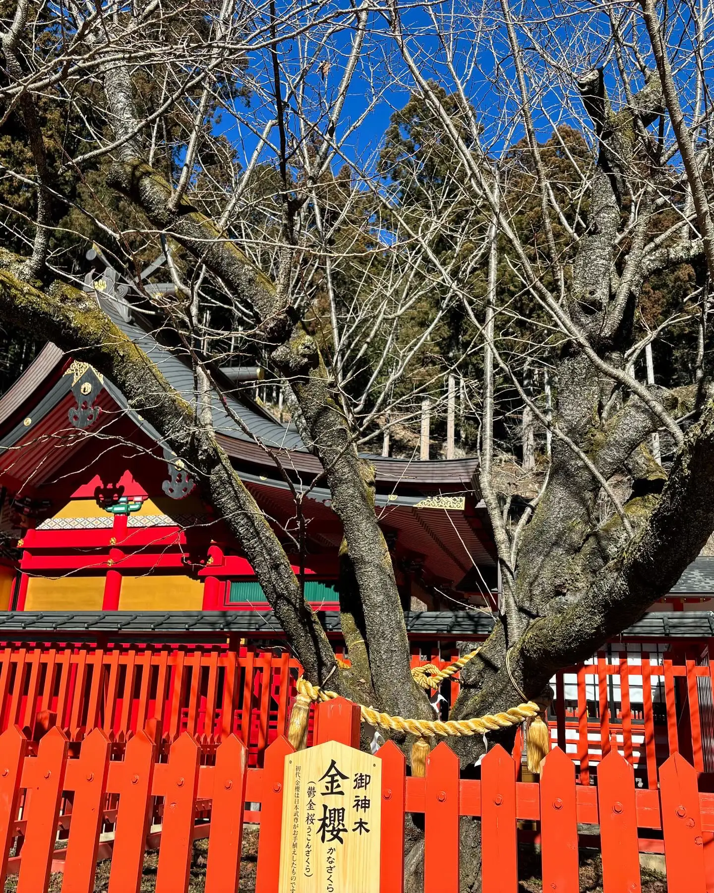 金櫻神社⛩️ | 友香3191が投稿したフォトブック | Lemon8