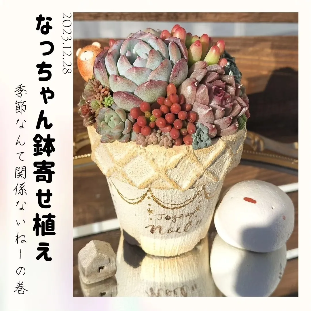 リメ缶◡̈リメ鉢 リメイク缶 リメイク 多肉植物 寄せ植え （リメ