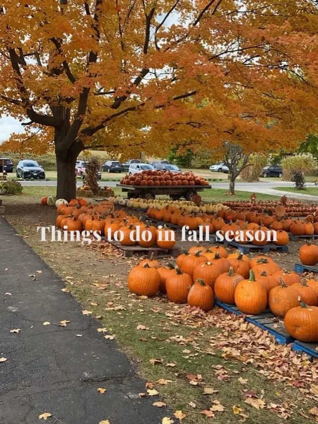 Things to do in fall season | Gallery posted by Only_Sierra | Lemon8