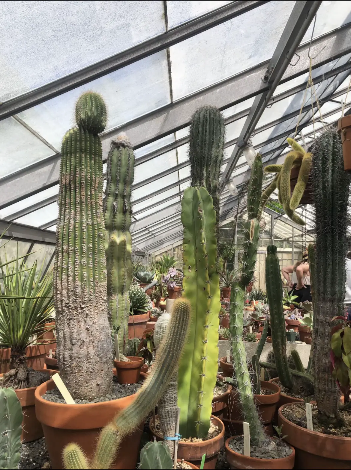 How to escape the city (NYC edition) Gallery posted by Diana B Lemon8