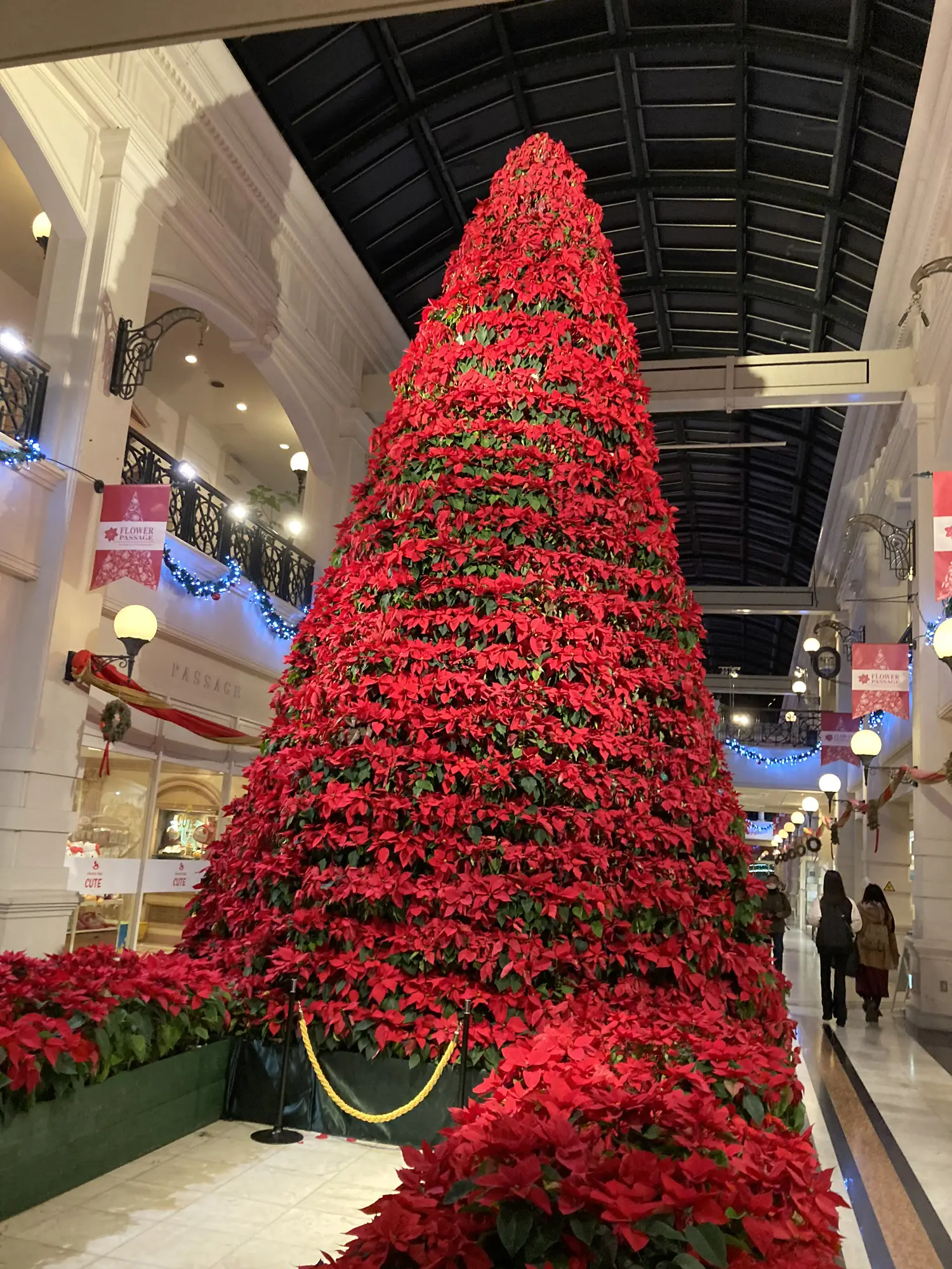 2年連続クリスマスのハウステンボス紹介🎅 | ℳ.장인미．まが投稿した