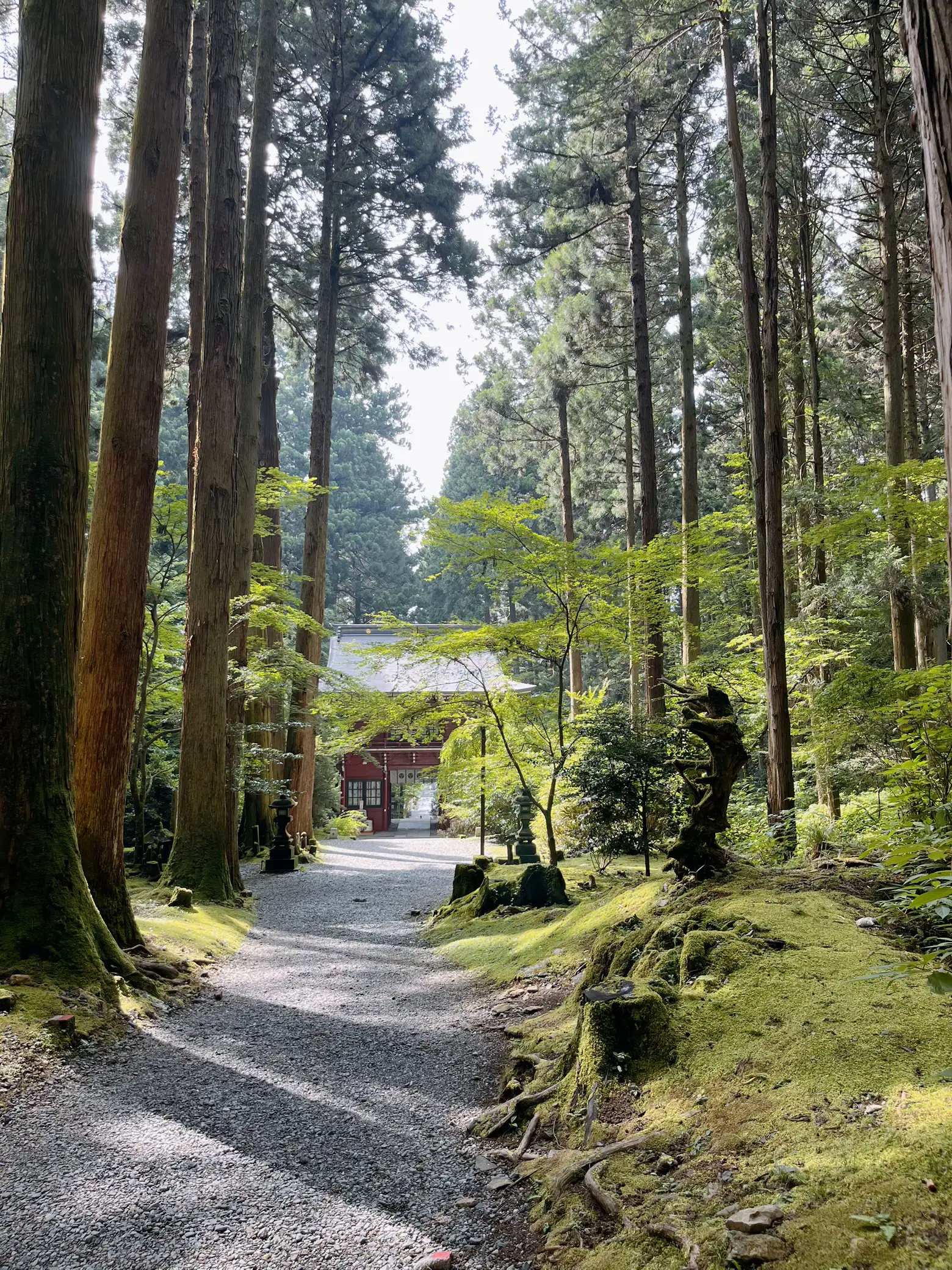 茨城のパワースポット【御岩神社】 | HAYAMOが投稿したフォトブック | Lemon8