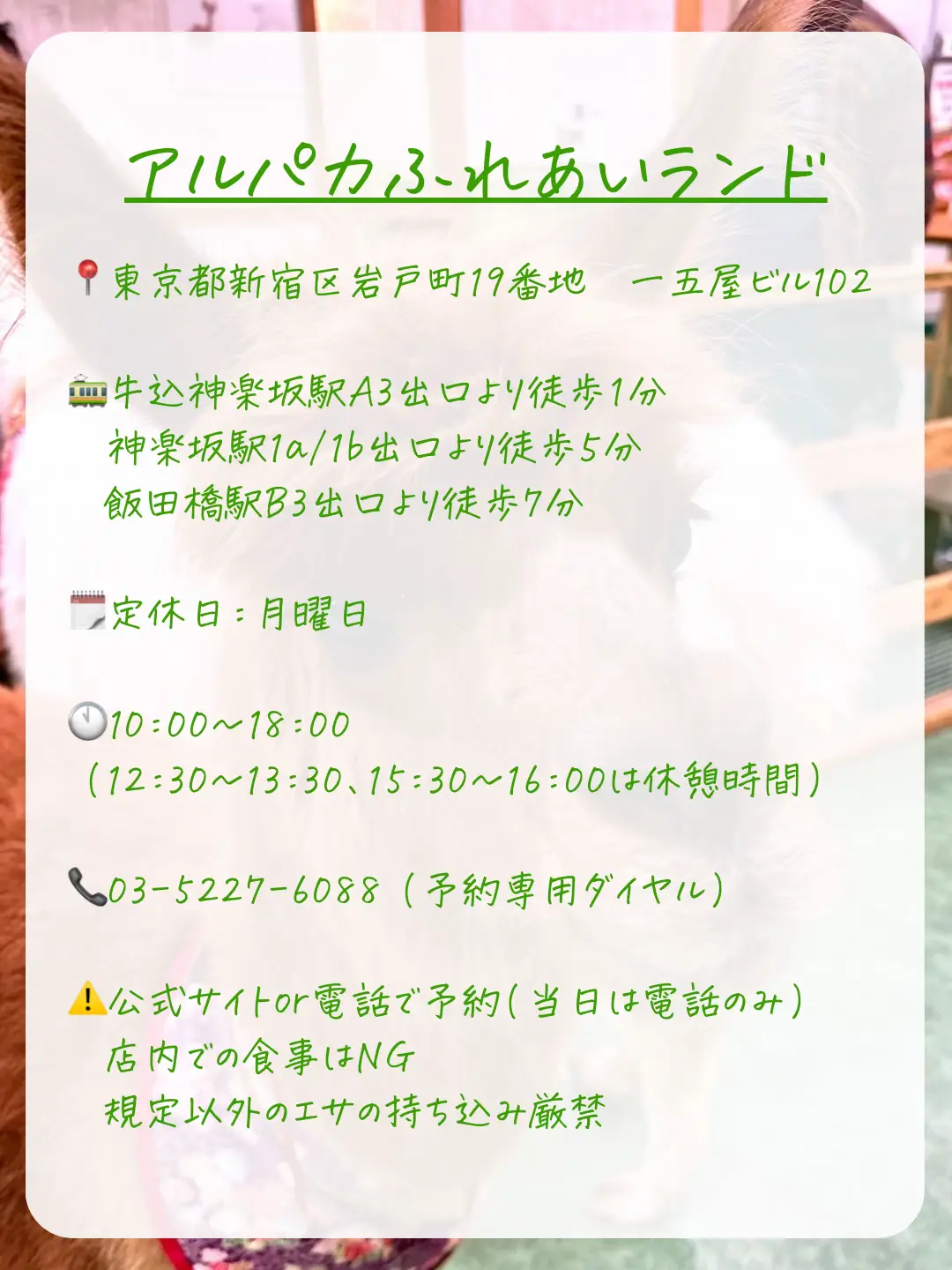 東武動物公園 特別入園券２枚•アトラクションパス割引券２枚b3