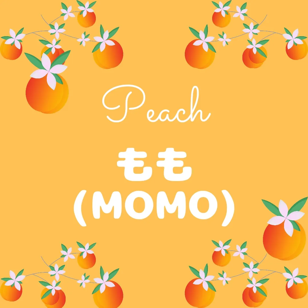 ซีปุ่น - Lemon8 Search