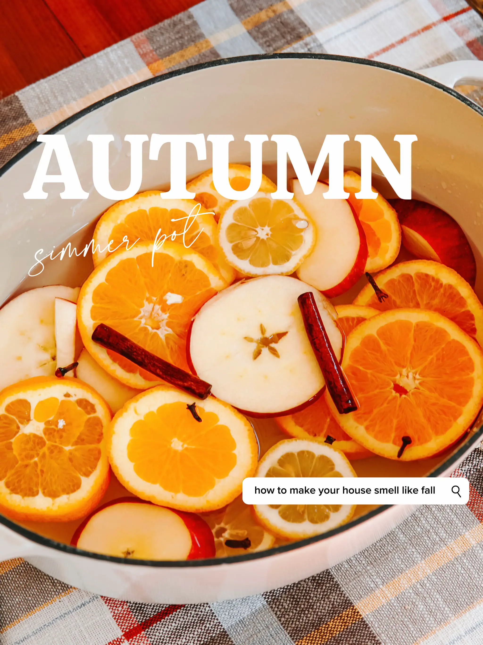Mini Simmer Pot - Autumn