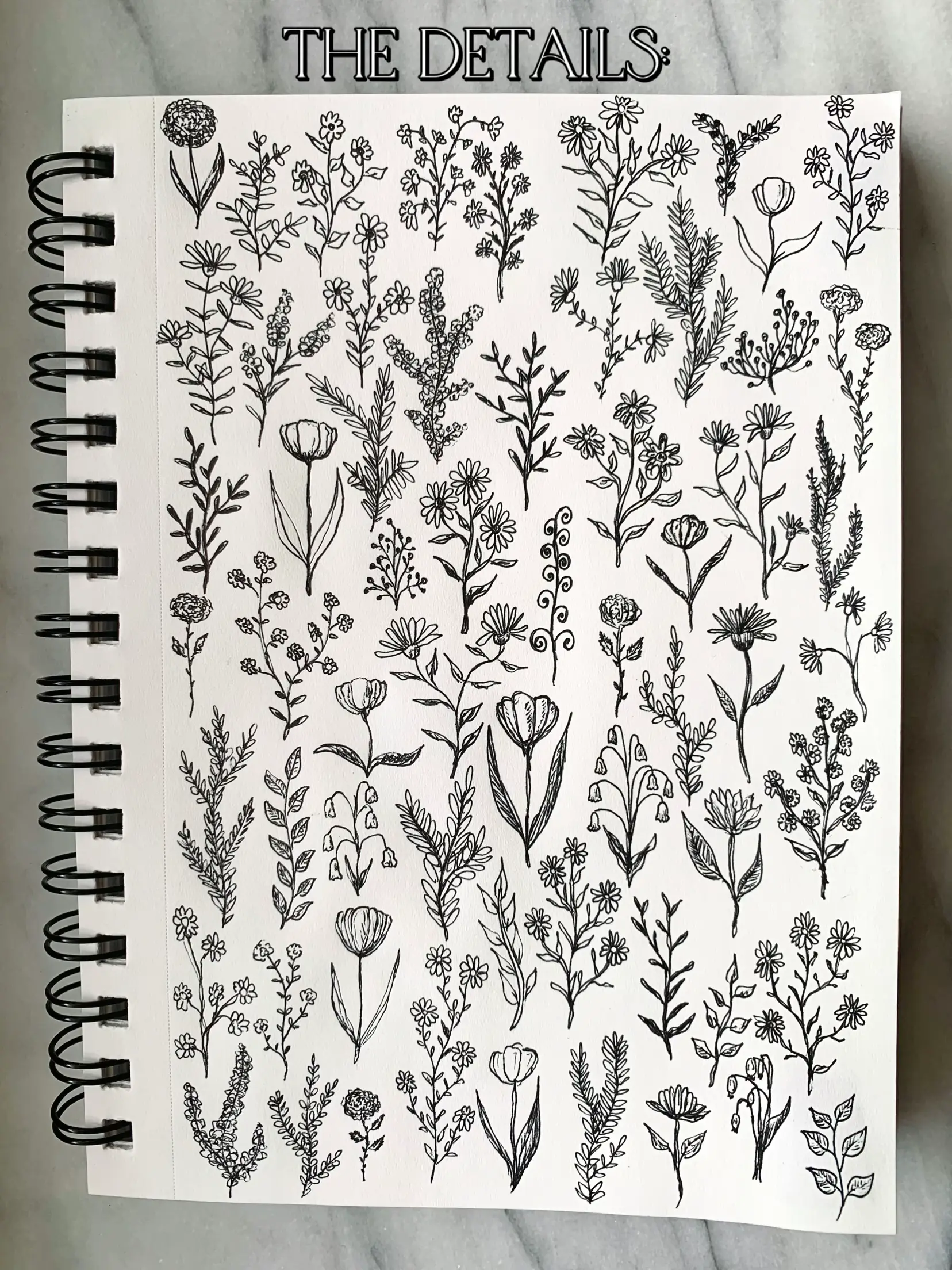 Learn to Draw Flowers: 6 Wildflowers You Need to Know, Isa Down