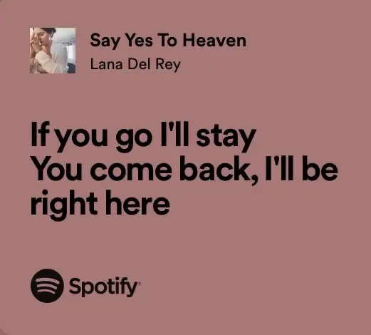 Lana Del Rey Quote: “I hear the birds on the summer breeze, I drive fast I  am alone in the night Been trying hard not to get into trouble, bu”