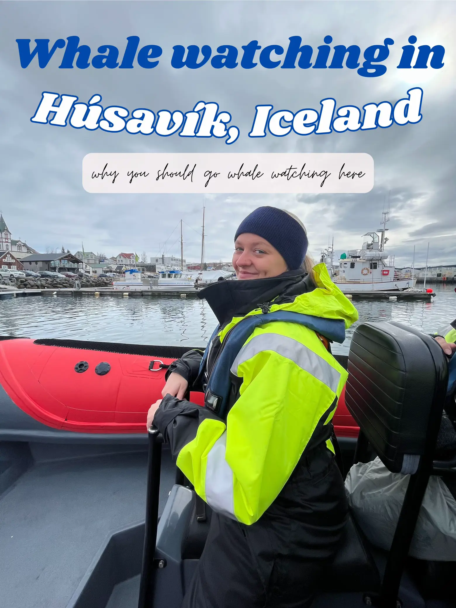 whale watching in iceland - Lemon8 Search