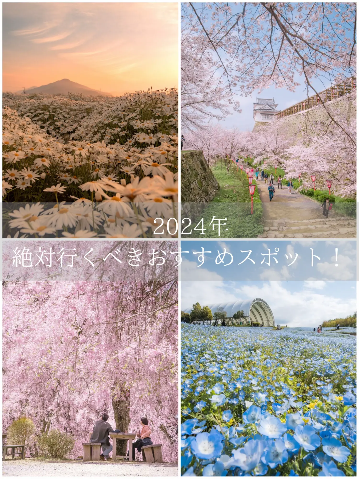 Latest Travel Trends for 2023 - Lemon8検索