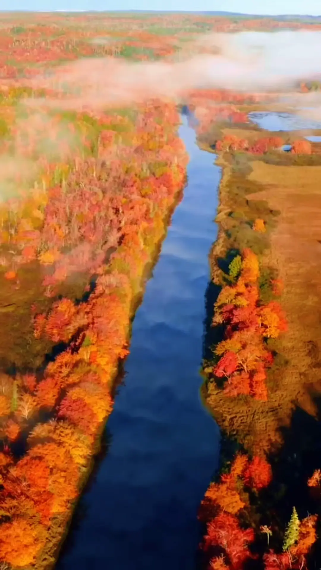 πππ #fall #visuals #fallvib | Video published by The Merry Mood | Lemon8