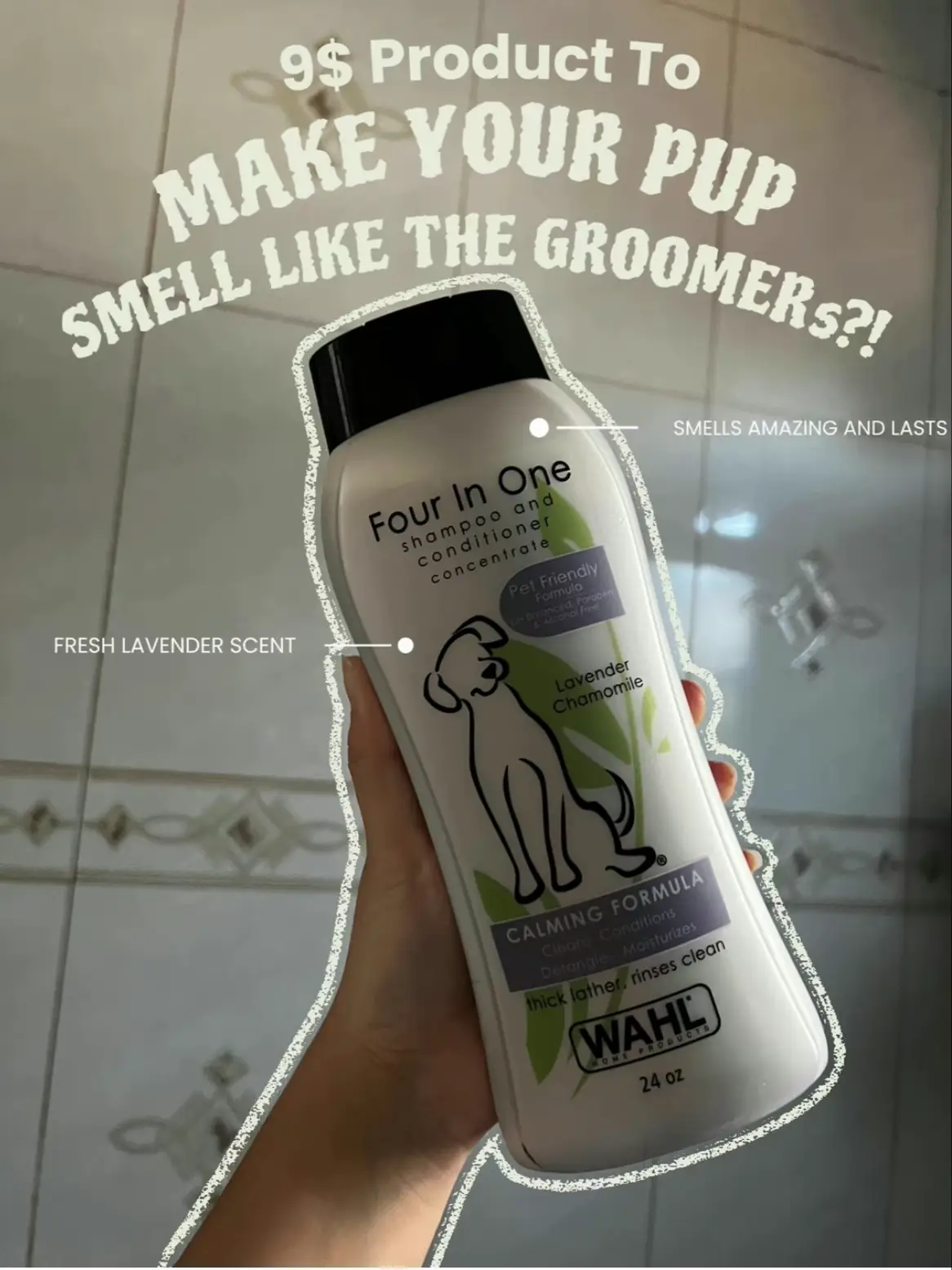 Wahl,Pure-N-Clean Shampoo - Gal - Ren's Pets