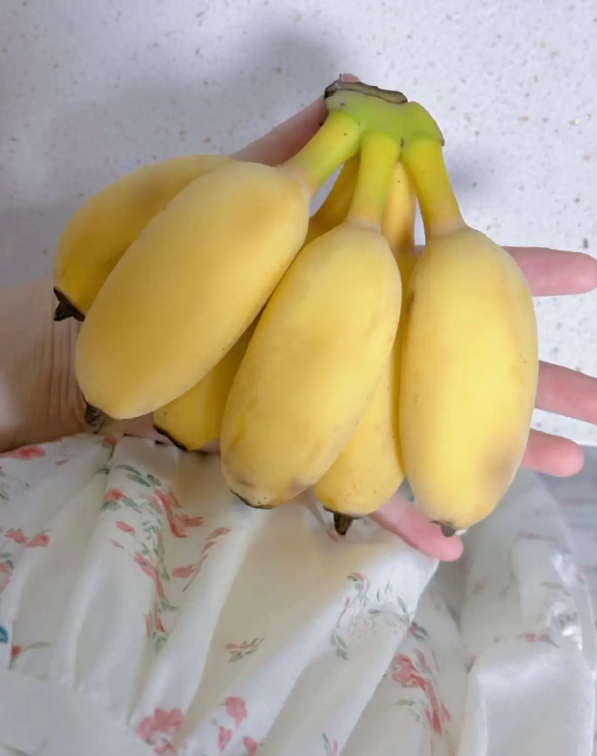 世界で一番可愛いバナナを買っちゃった❗️🍌 | ララが投稿したフォトブック | Lemon8