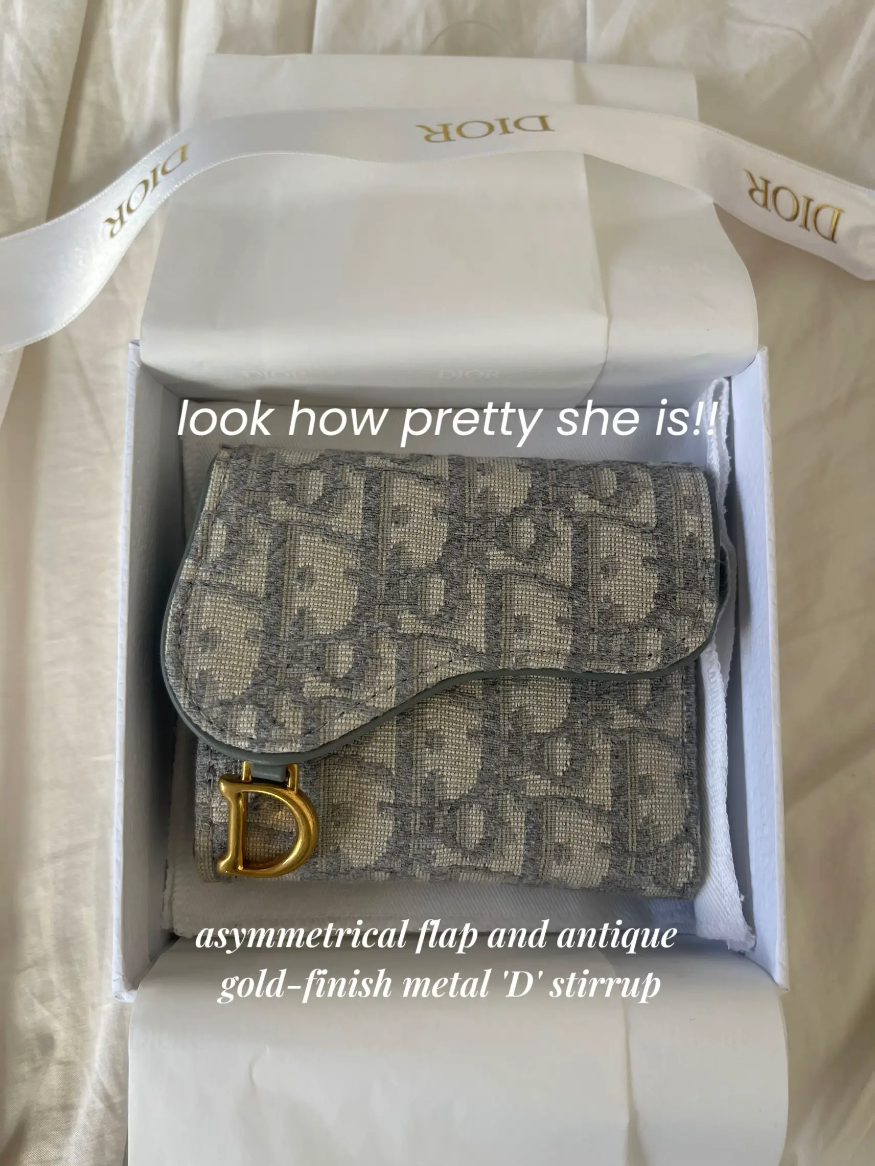 DIOR OBLIQUE SADDLE BAG UNBOXING & REVIEW, LUXURY HAUL