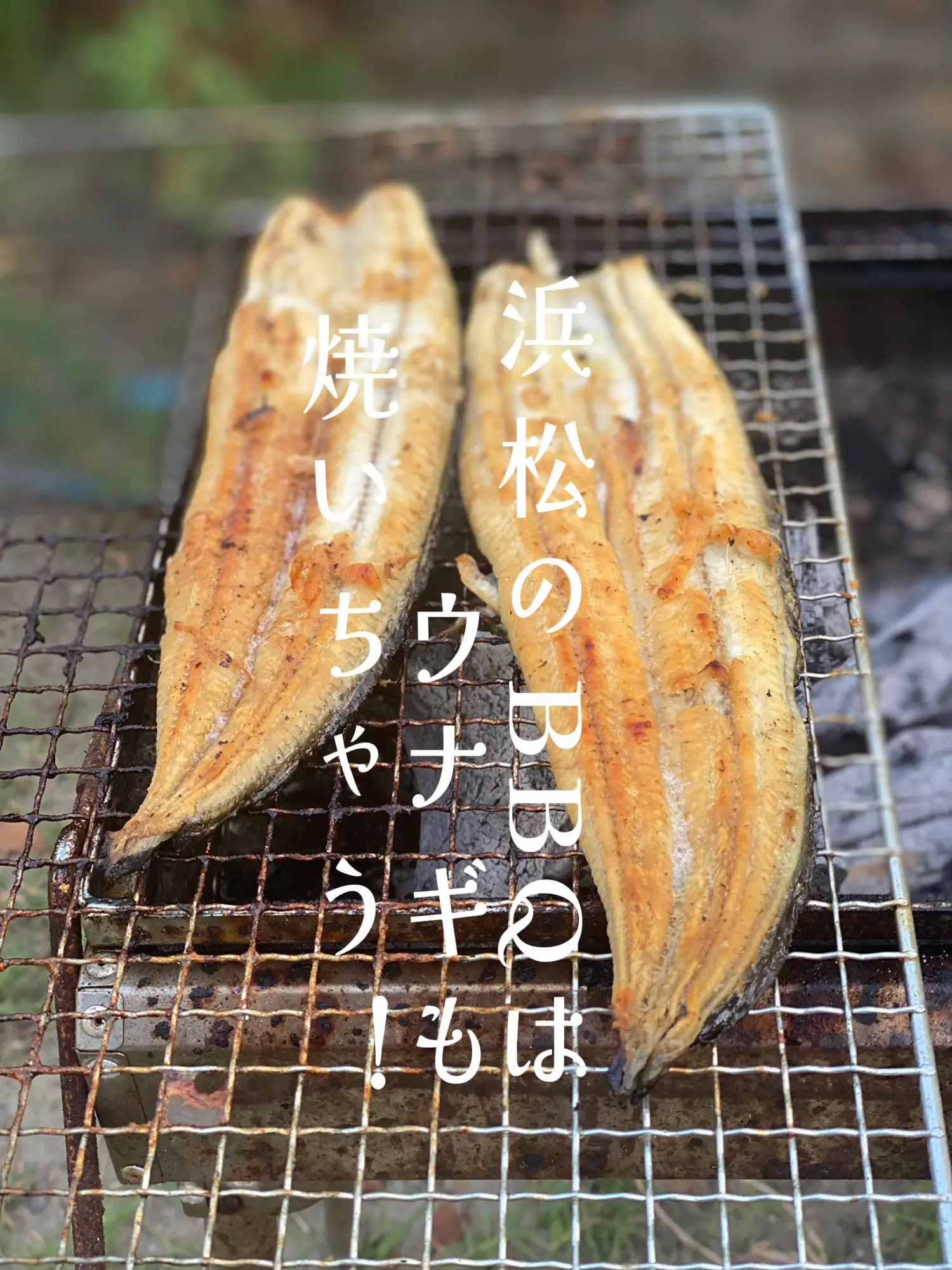 浜松のBBQはウナギも焼いちゃう！ | MiwaHが投稿したフォトブック | Lemon8