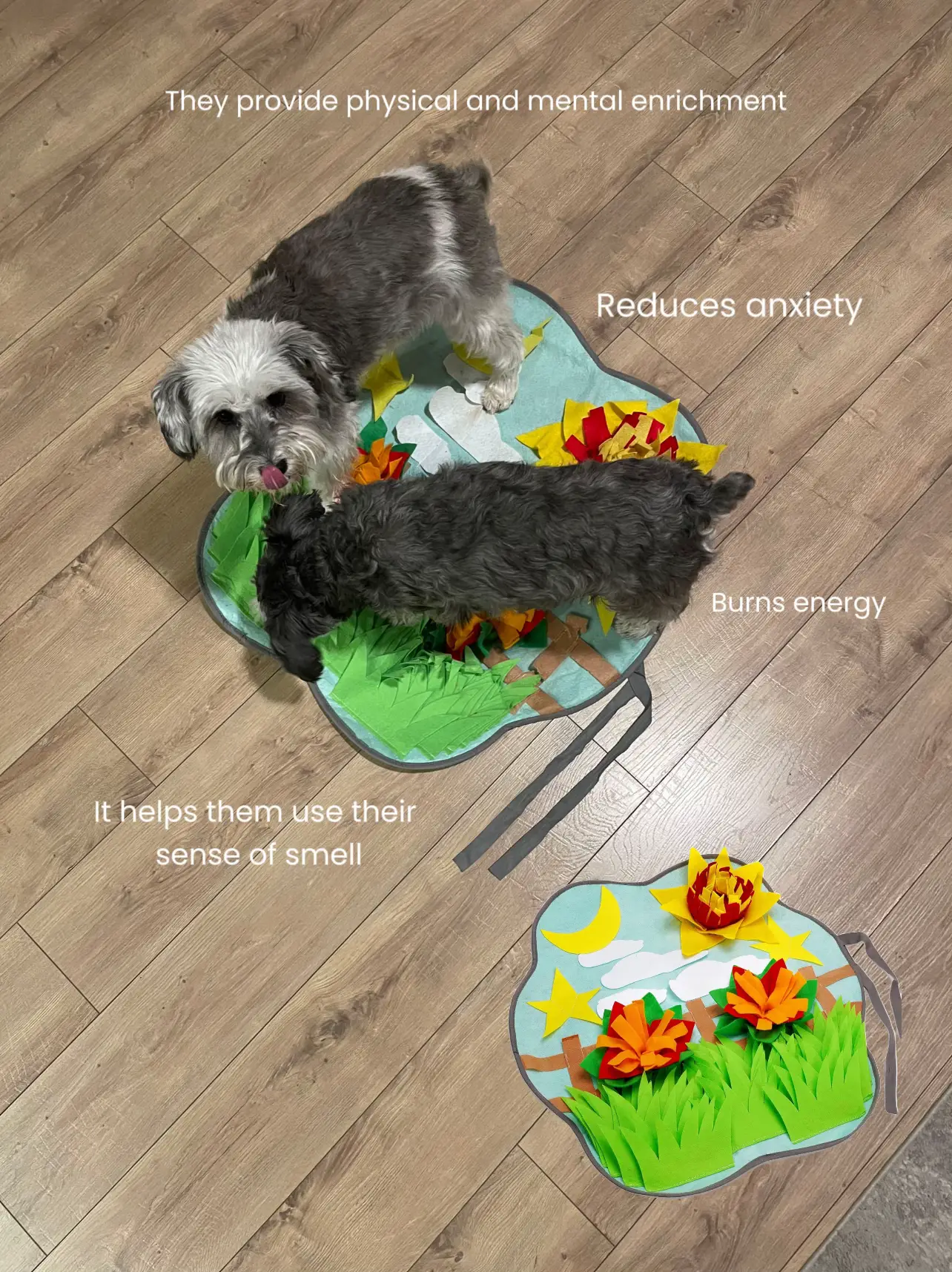 Friendly Barkz Adjustable Snuffle Mat for Dogs with Suction Cup, Dog  Enrichment Toys with Pet Training Clicker to Encourage Dogs Foraging Skills  and Slow Eating, Stress Relief Dog Puzzle Toys