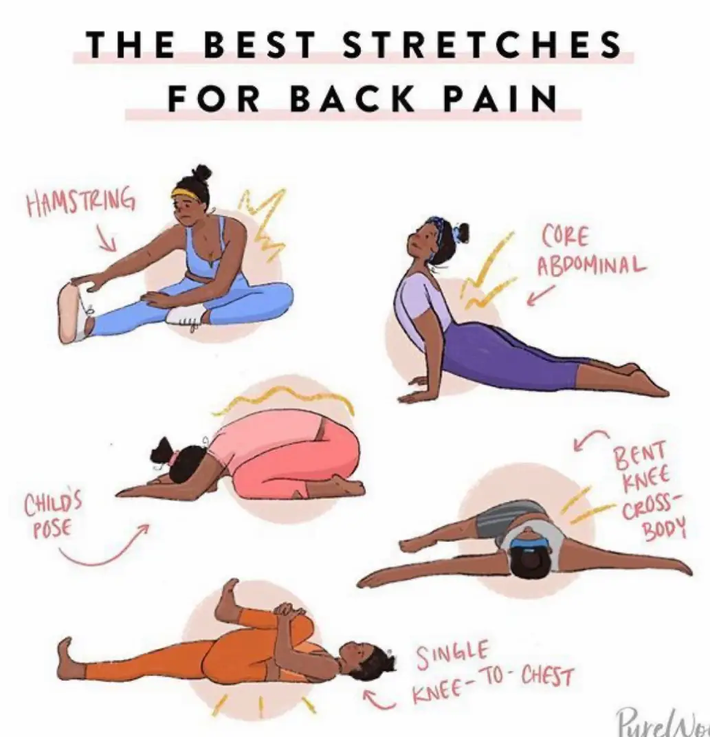 STRETCHES FOR BACK Gallery posted by Faith Lemon8