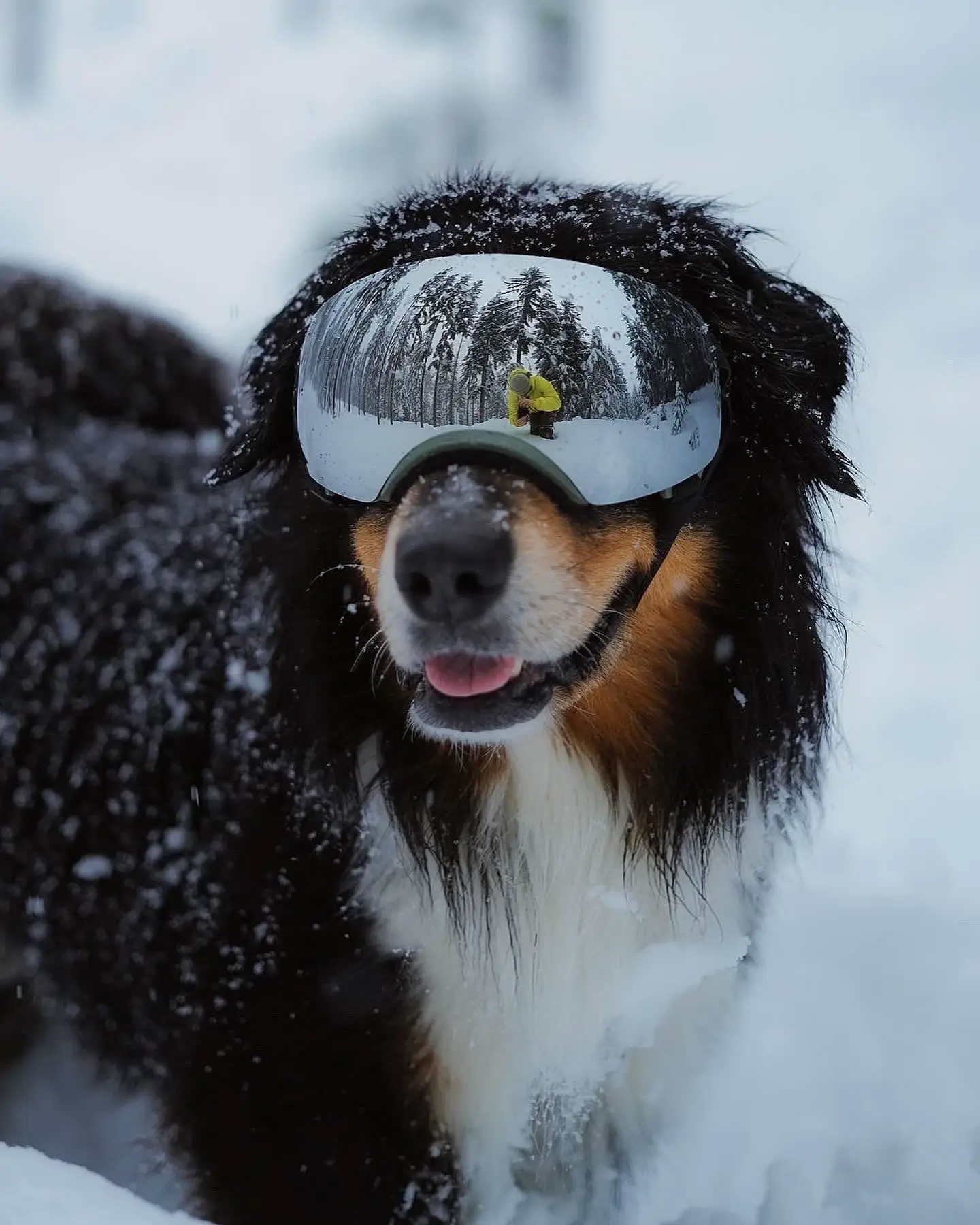 How do you like Brunos snow goggles Gallery posted by Micheal Ben Lemon8