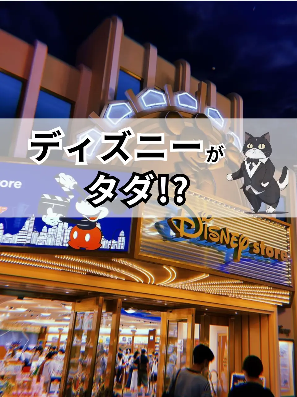 大変貴重な優先入場整理券10枚です。トイマニO.K. 凡庸 