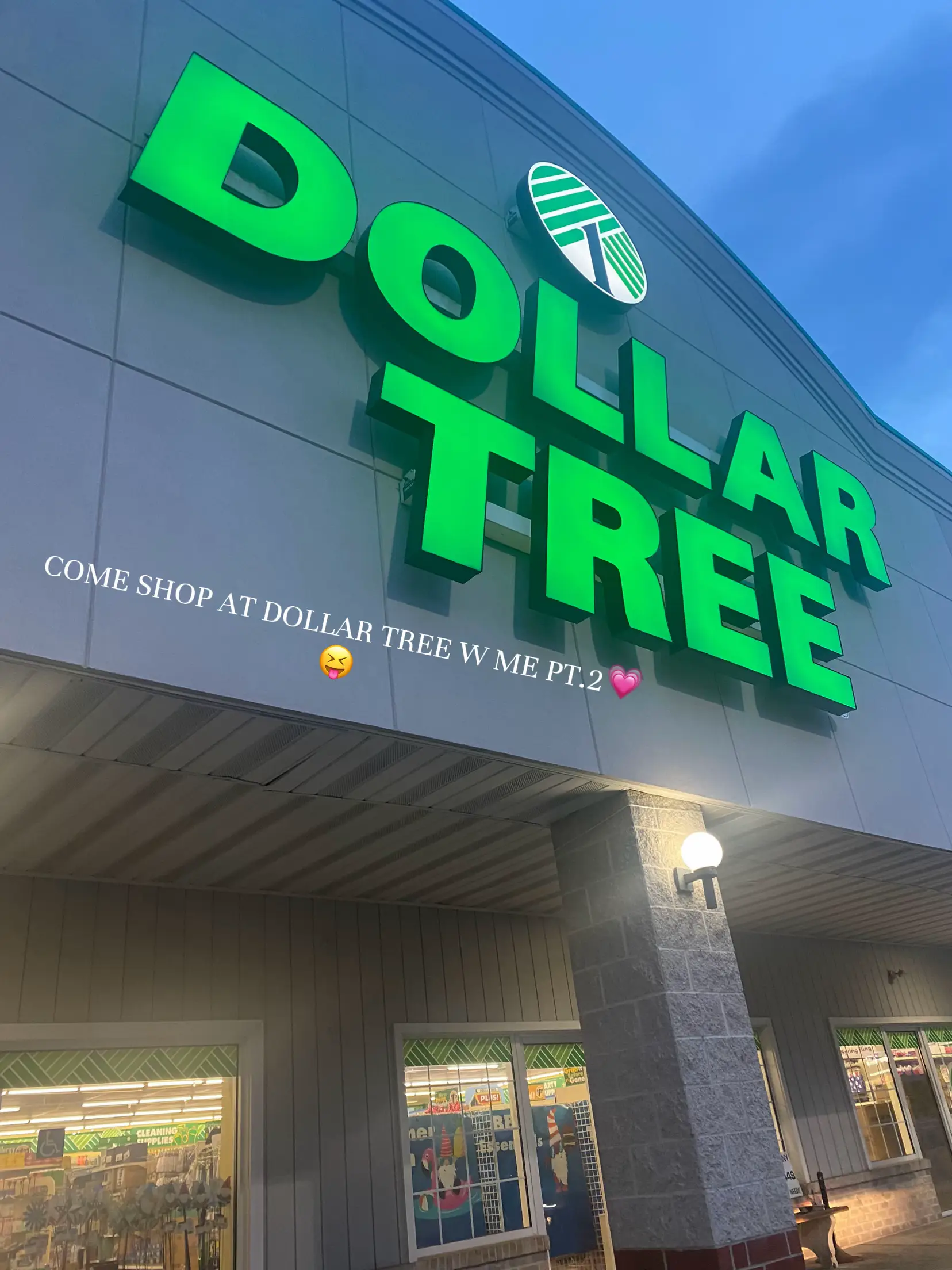20 top Dollar Store Christmas Decor ideas in 2024