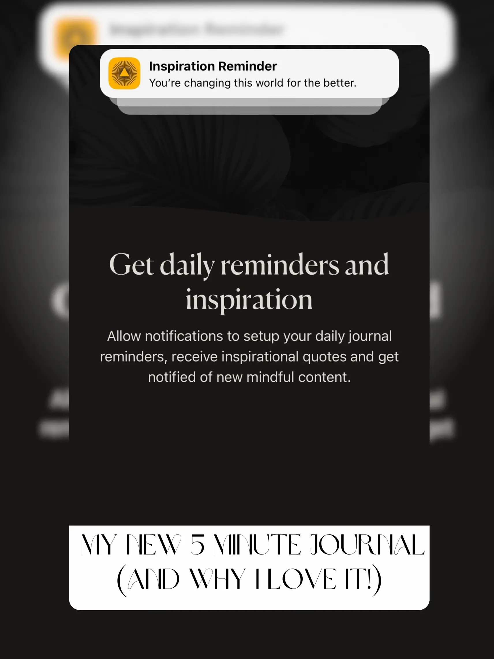 my-new-favorite-5-minute-gratitude-journal-app