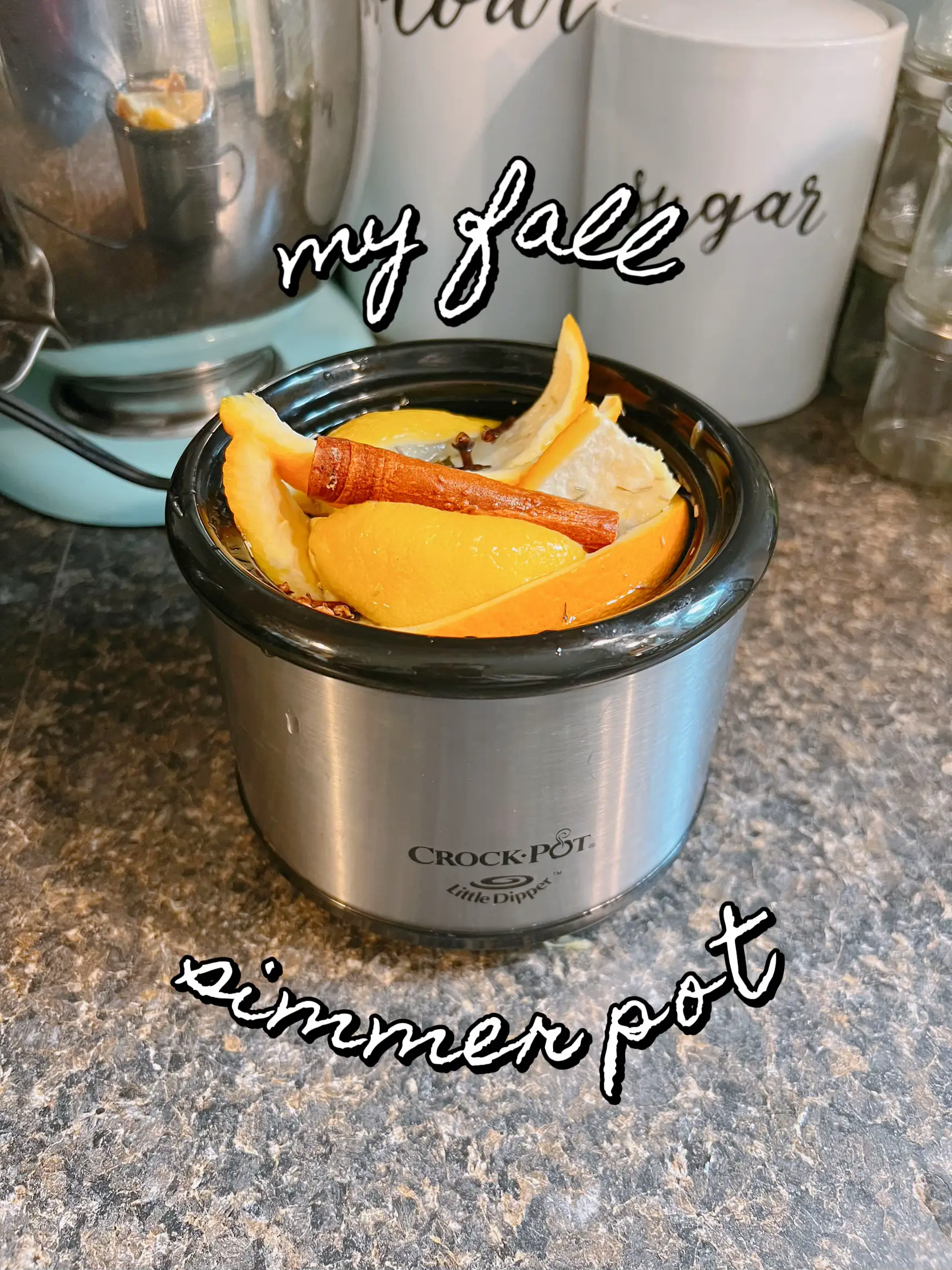 Williams Sonoma Holiday Simmer Pot