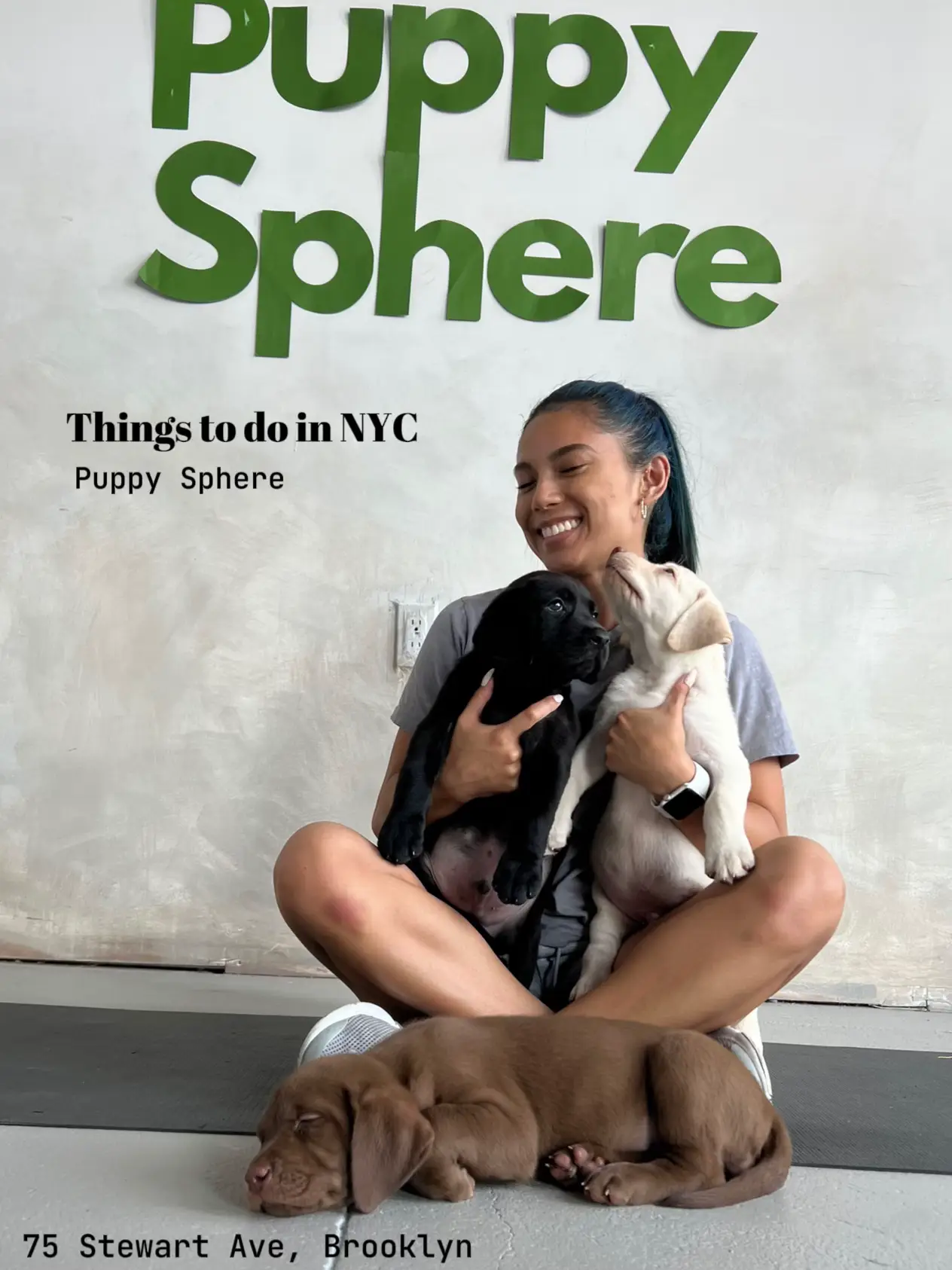 Puppy Yoga in Brooklyn 🐶, Gallery posted by Marielle ✨
