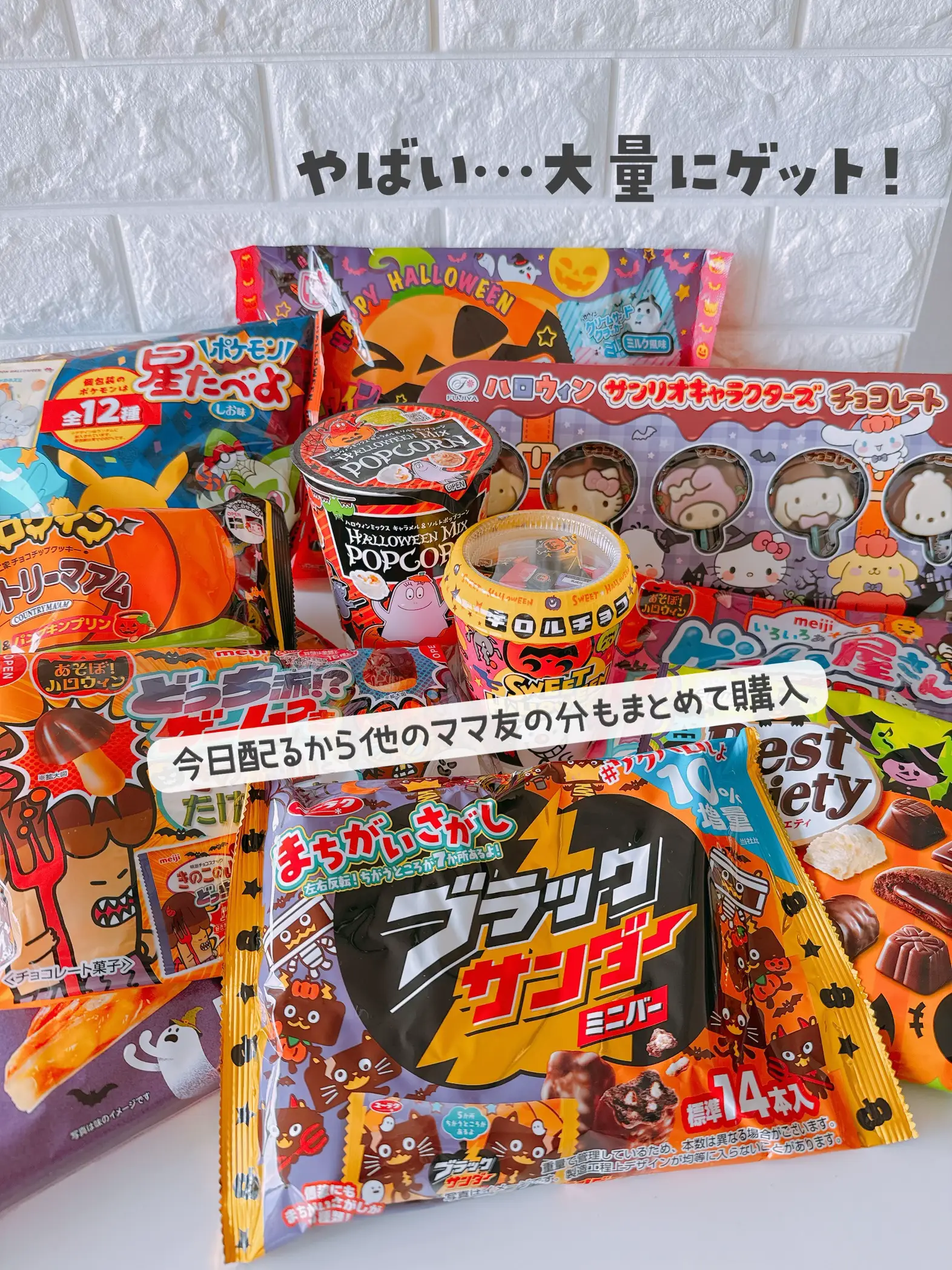 半額まで値下げました(U＾ω＾)ワンちゃん用｜ペット用品 